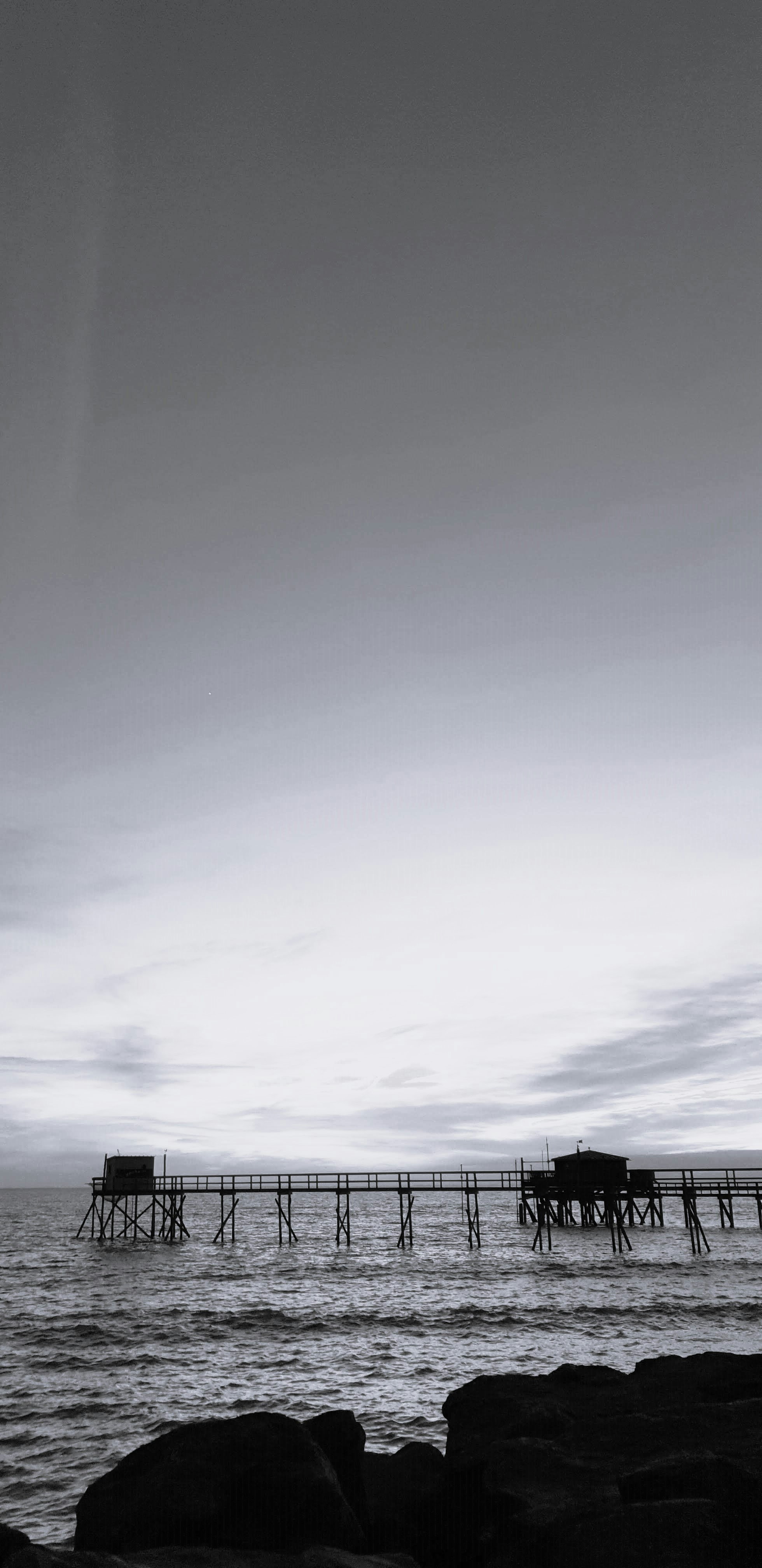 Photo by camelcazacu