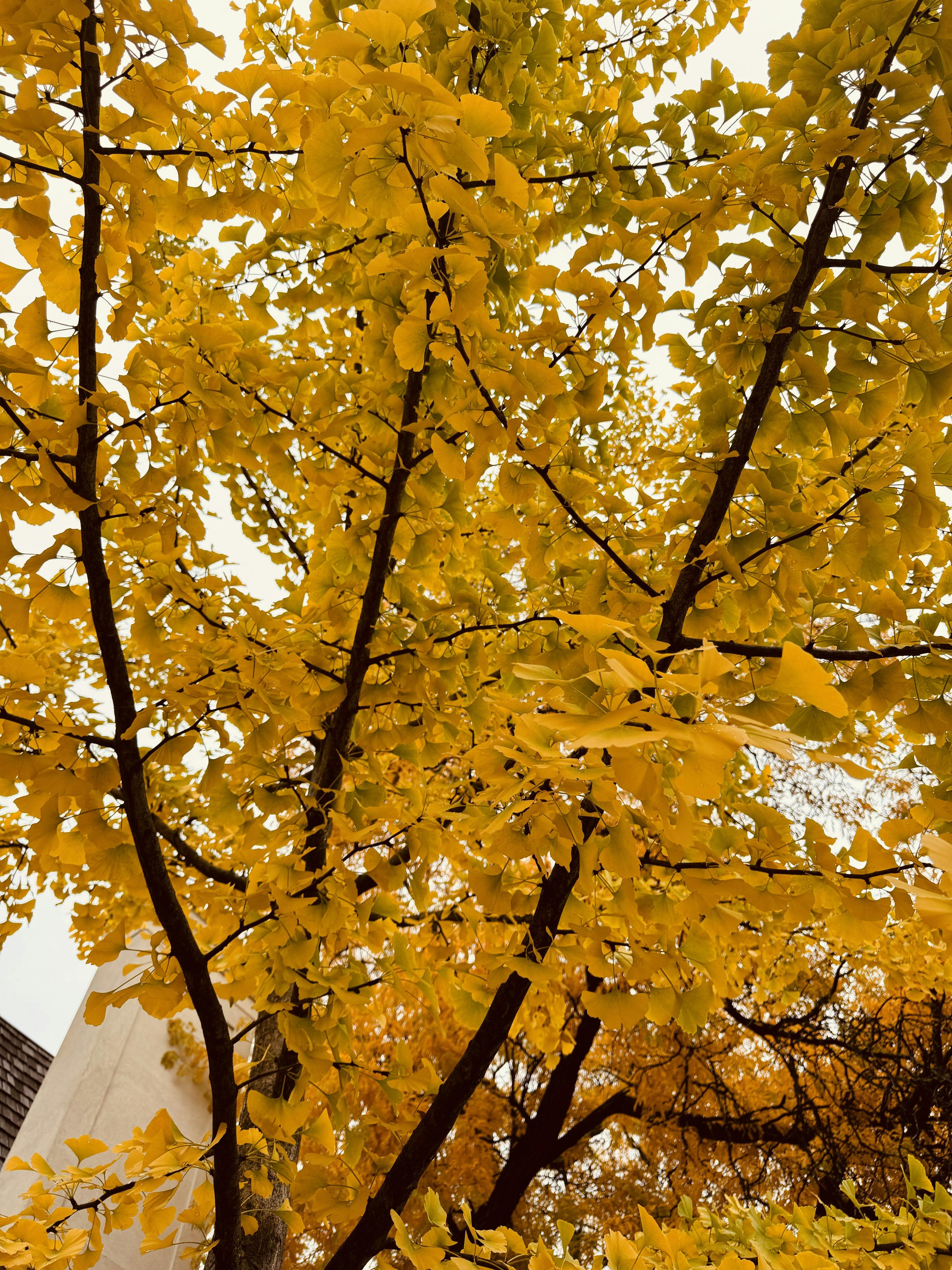 Photo by _backwoods_