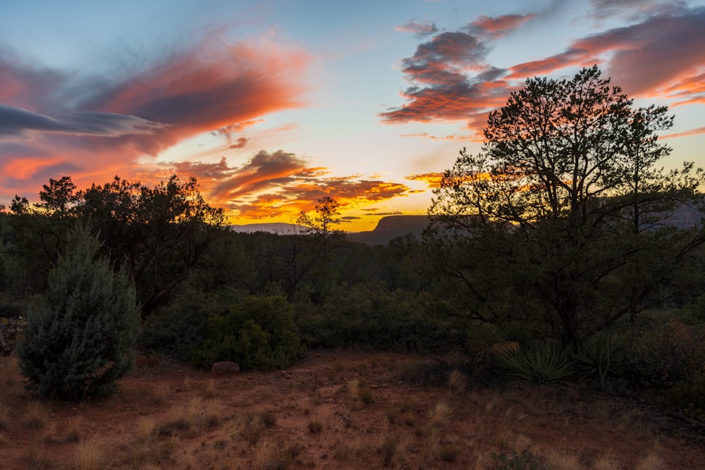 the sun is setting over the mountains and trees