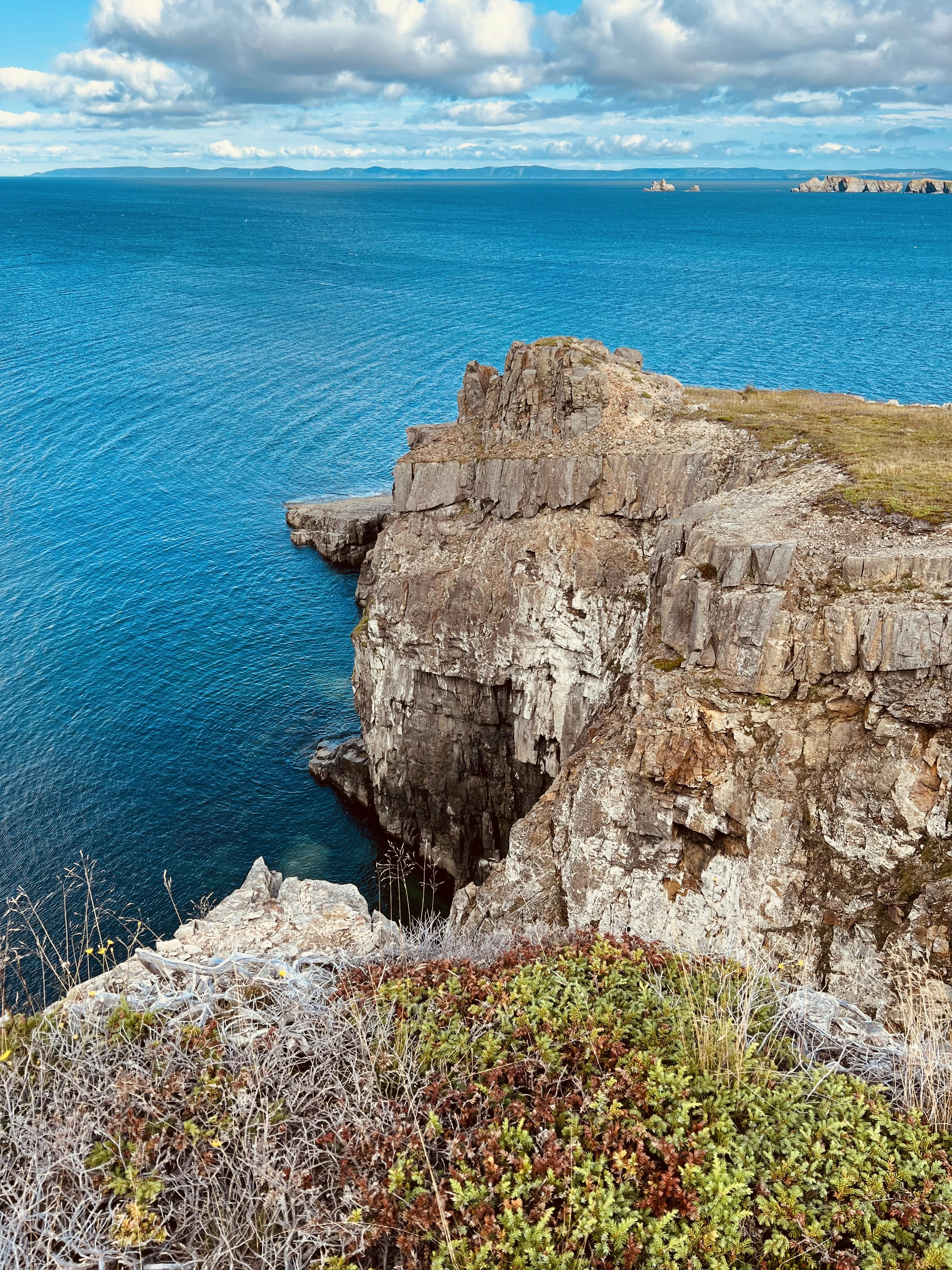 Photo by _backwoods_