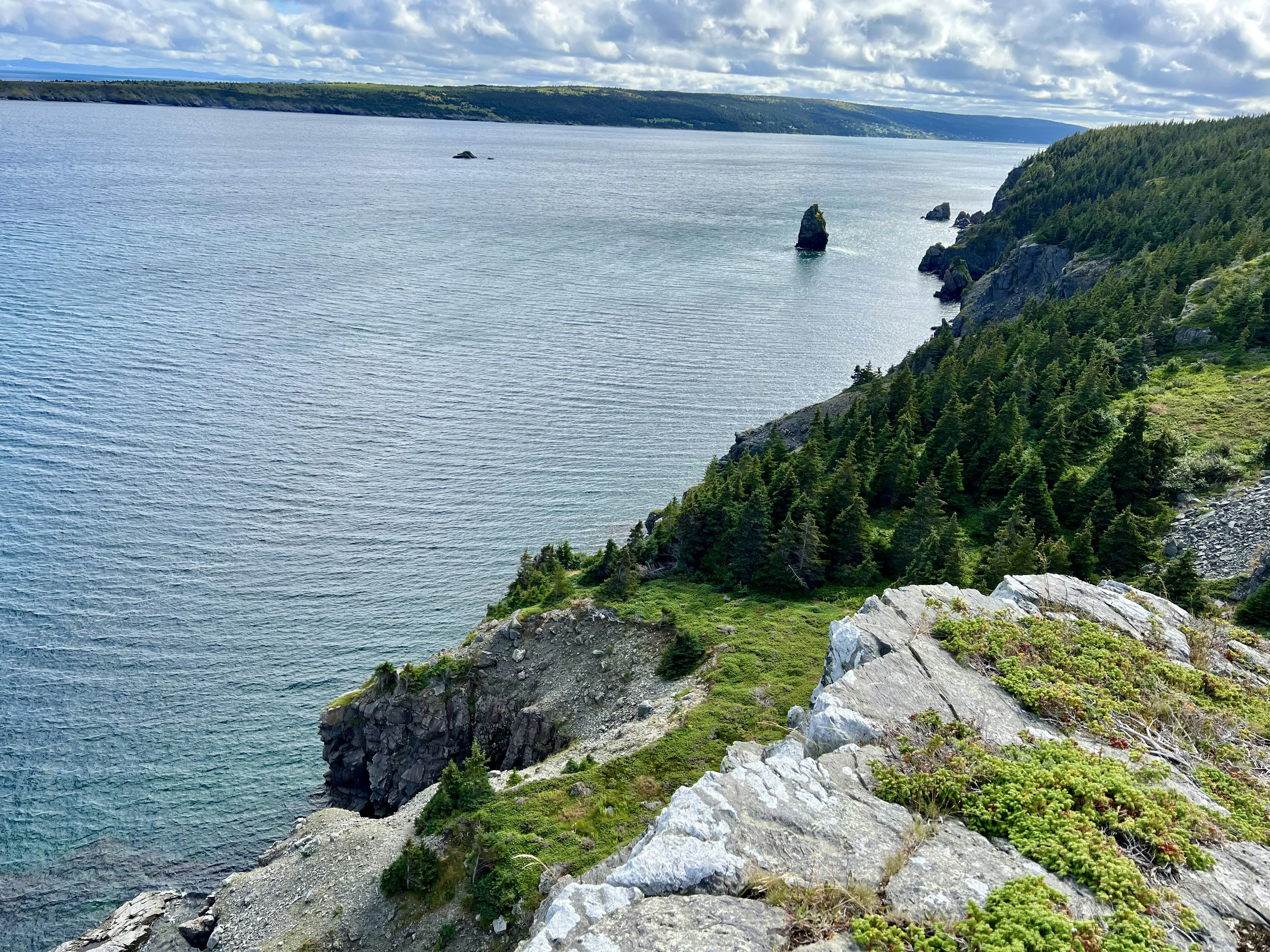 Photo by _backwoods_