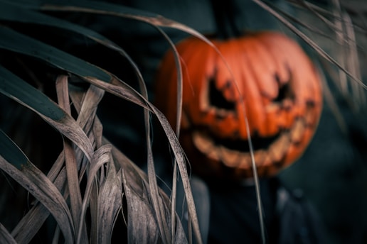 A carved, menacingly smiling jack-o'-lantern with dark, triangular eyes is partially obscured by dry, tangled foliage in the foreground. The background is dimly lit, enhancing the eerie and mysterious atmosphere.