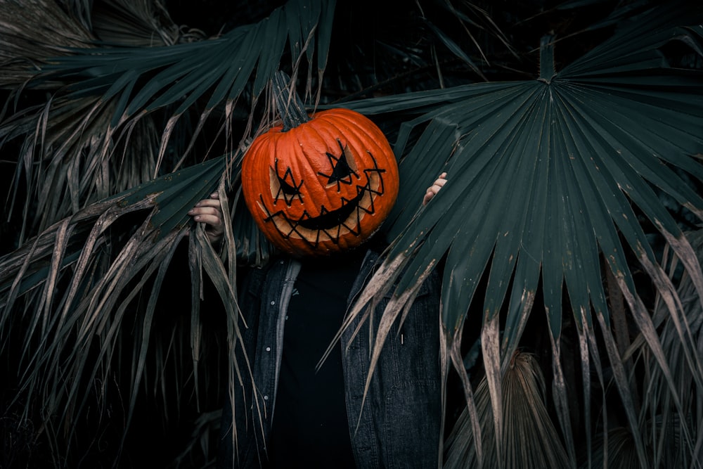 a person holding a pumpkin in front of a palm tree