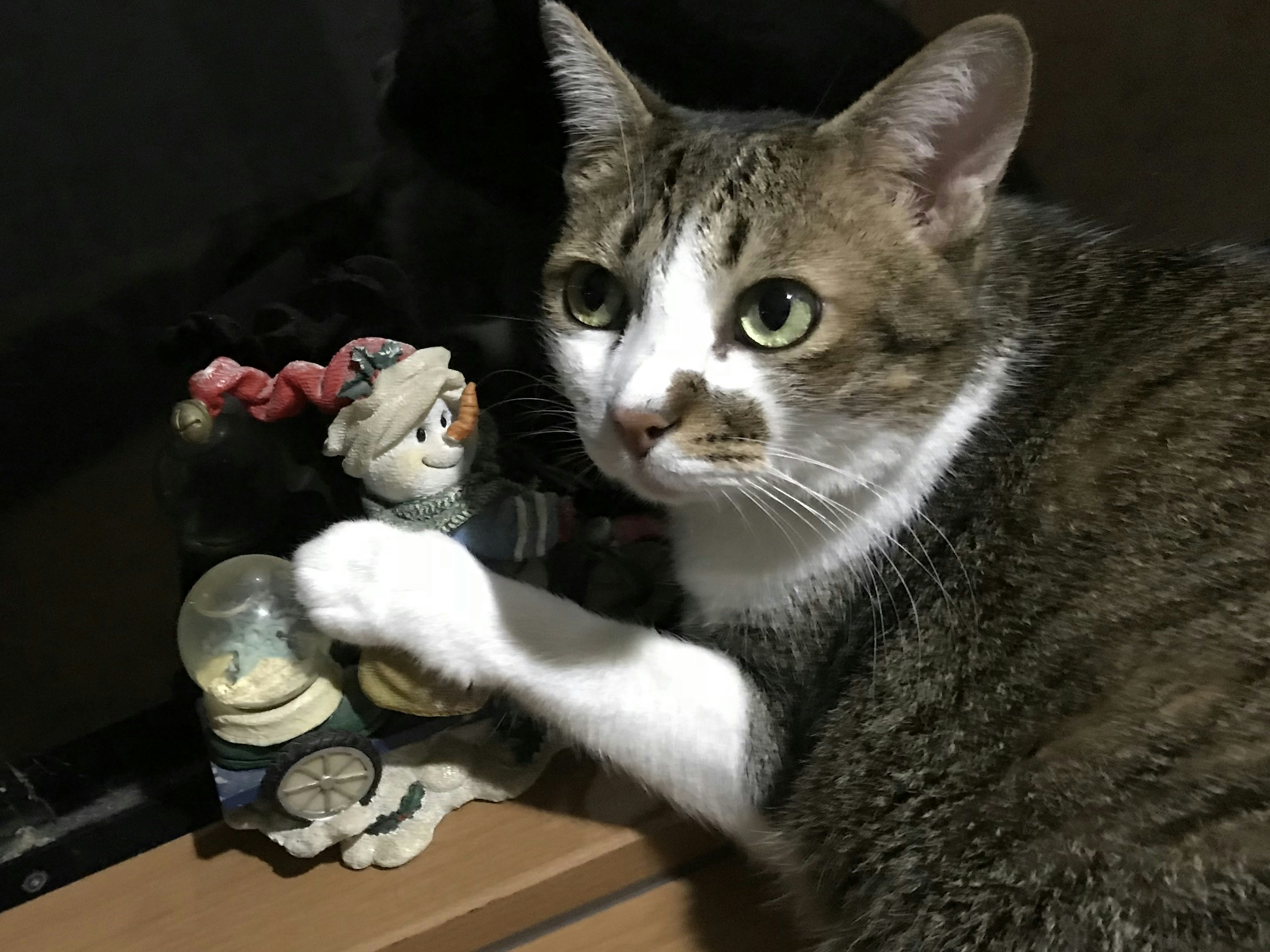 14. Chirping Bird Toys with Realistic Sounds (image credits: unsplash)