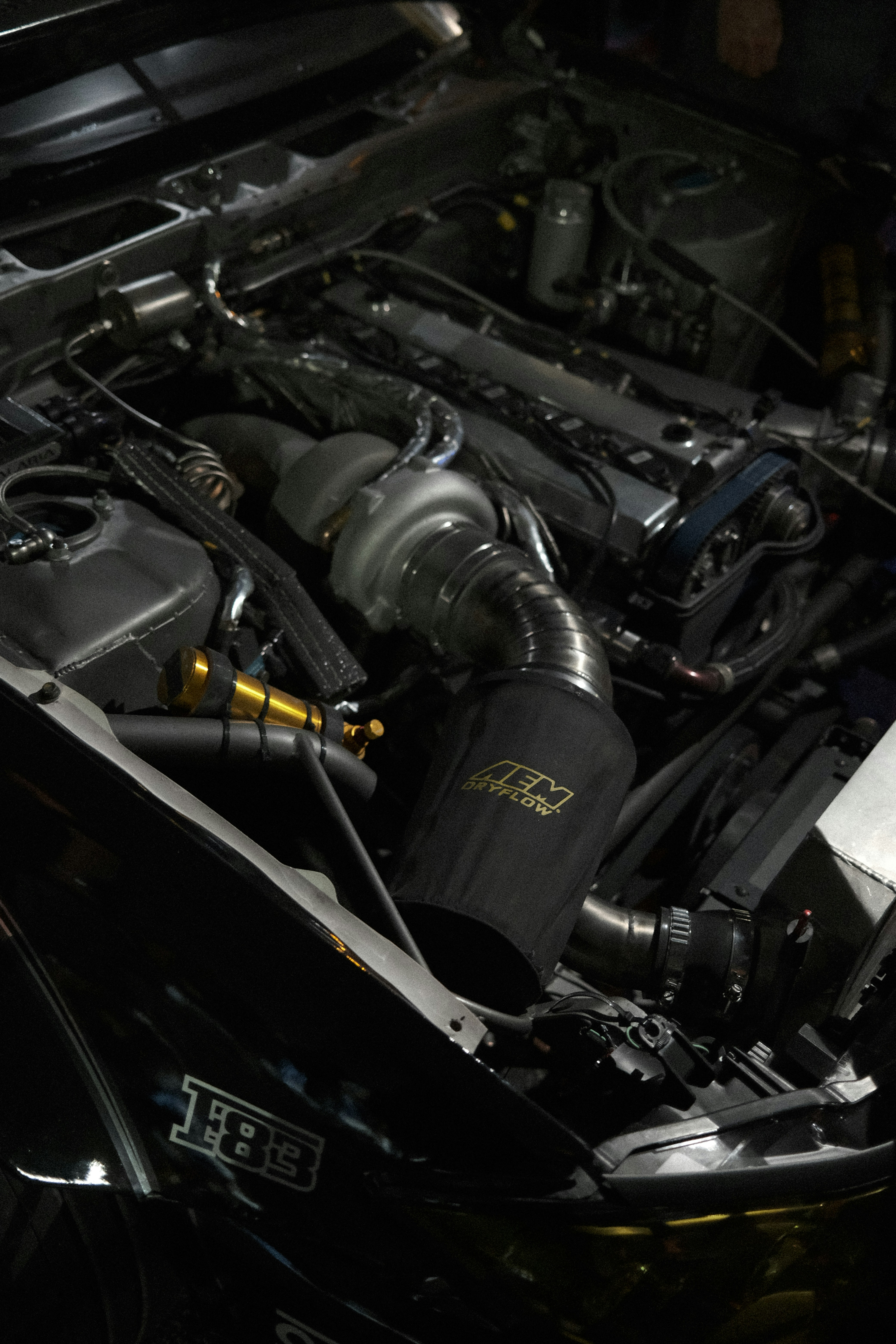 Photo by neptunedout