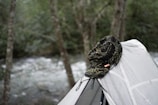 A camouflaged hat is placed atop a light gray tent in a wooded area with a river visible in the background. The scene conveys a sense of outdoor adventure and camping.