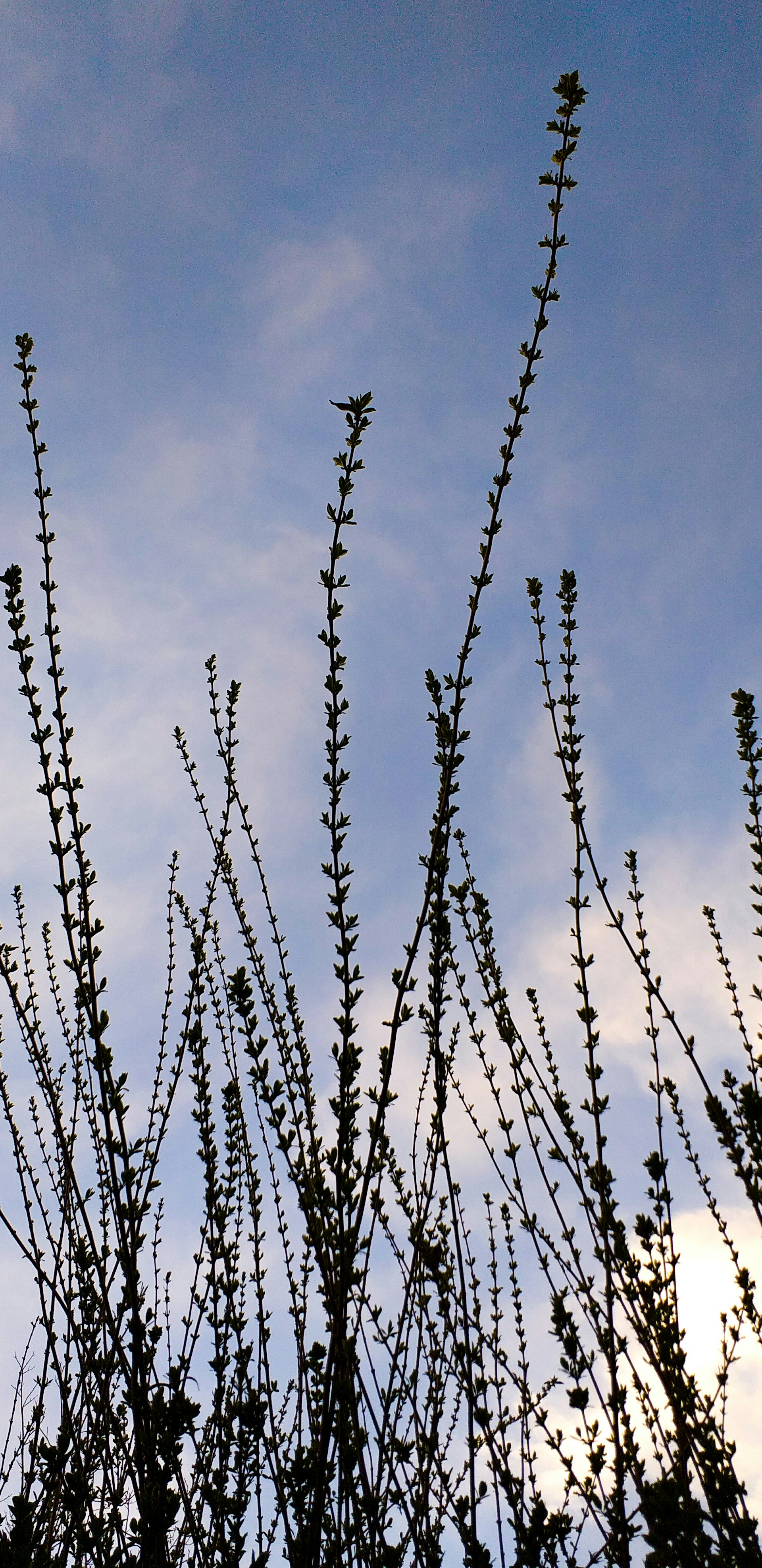 Photo by nimi_narges