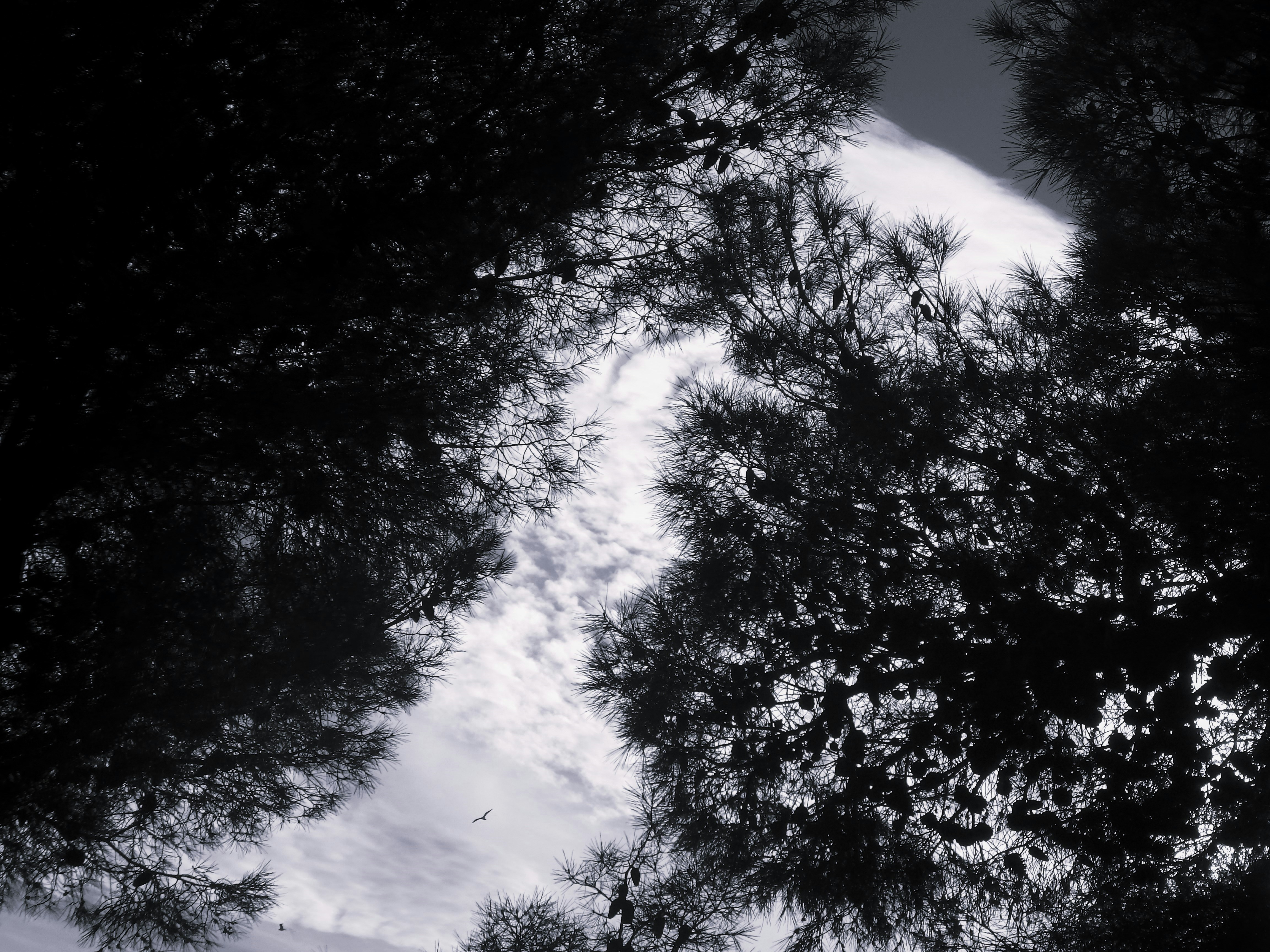 Photo by dominapetric