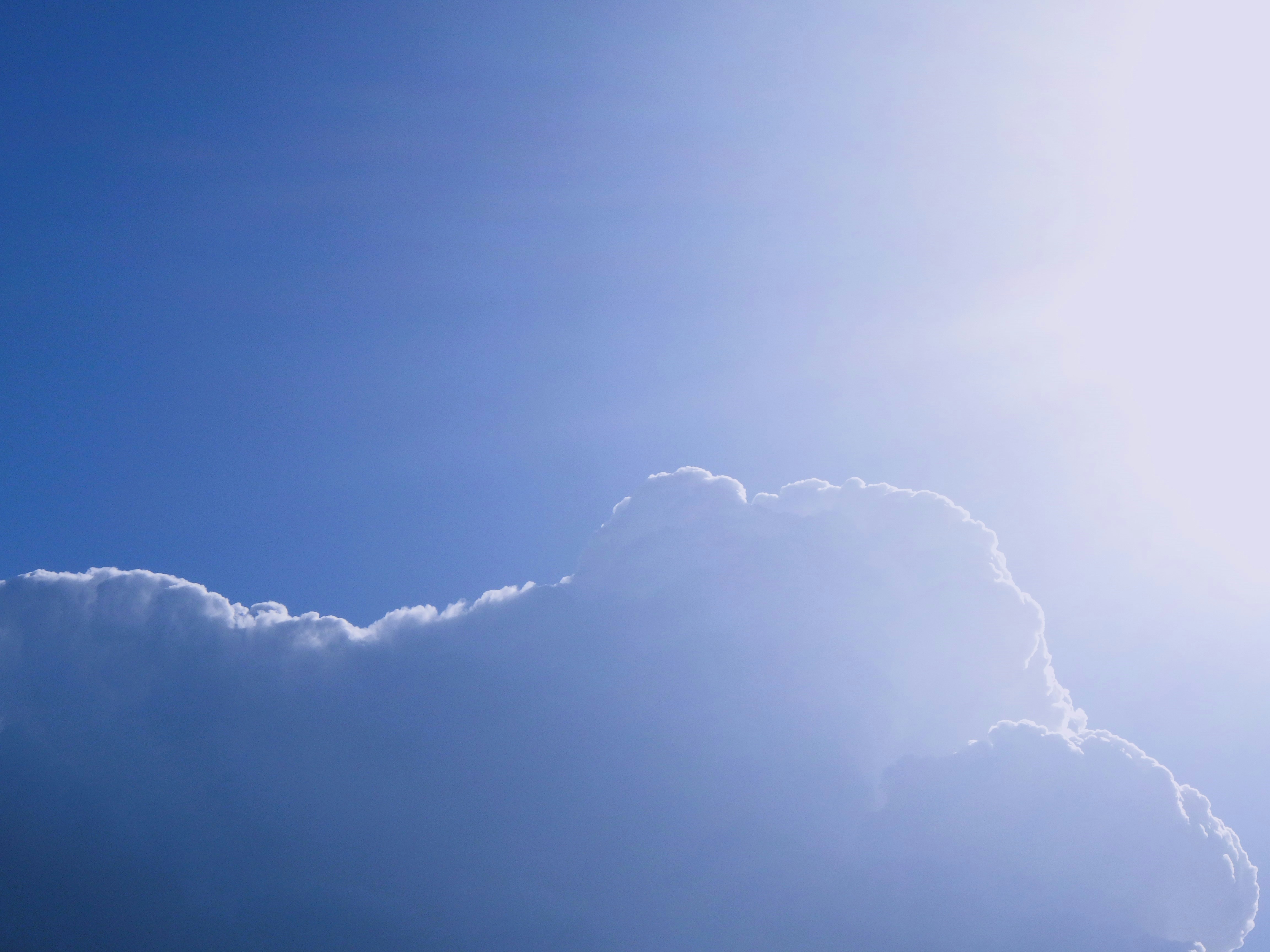 Photo by dominapetric