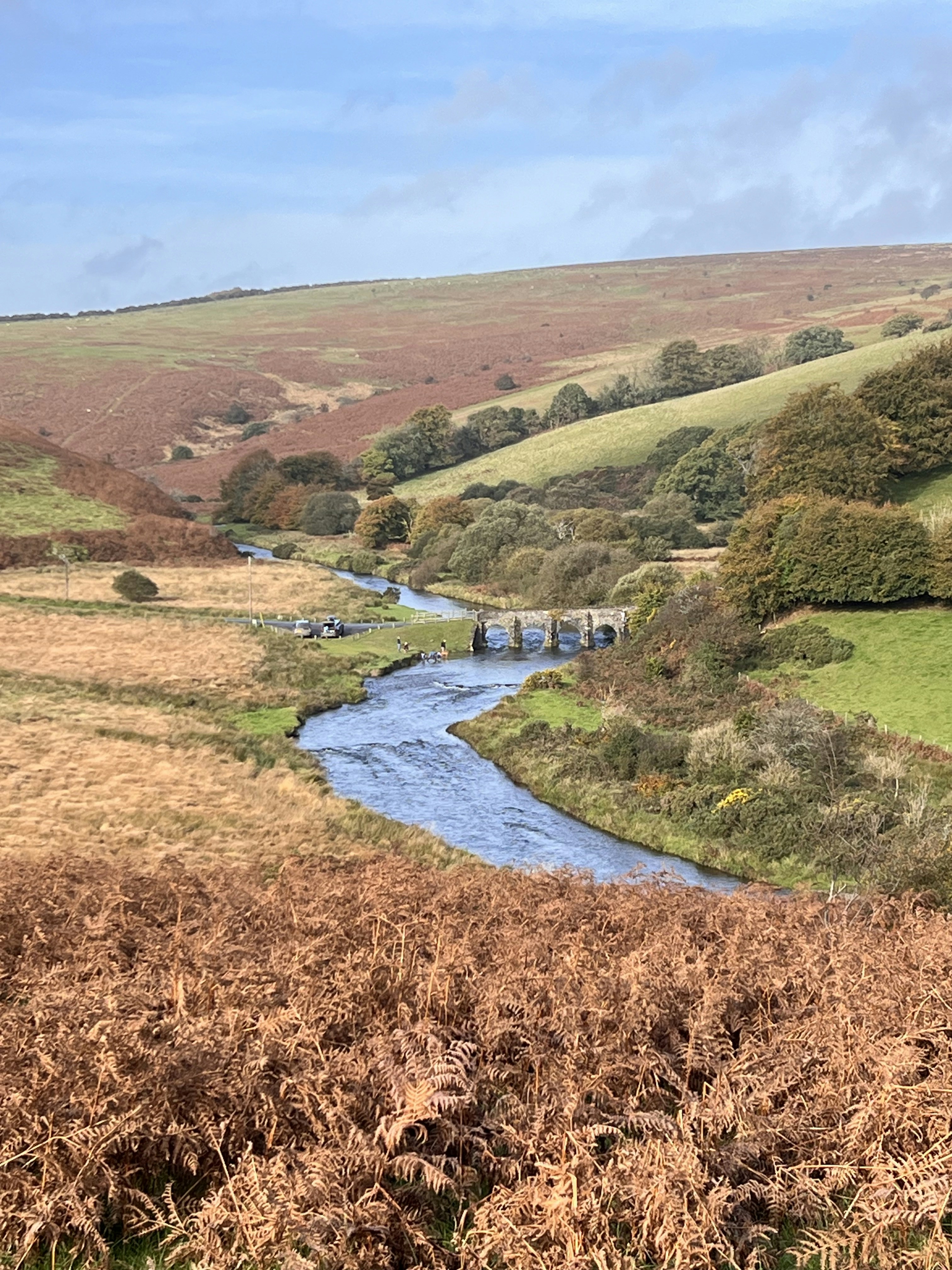 a river running through a lush green countryside
