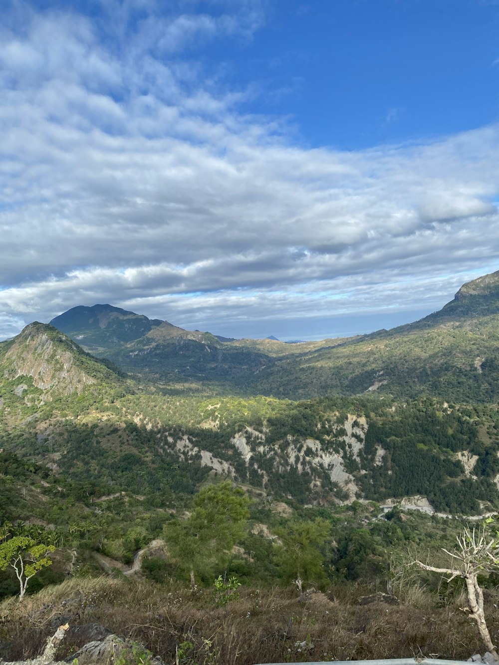 a view of a mountain range from a hill