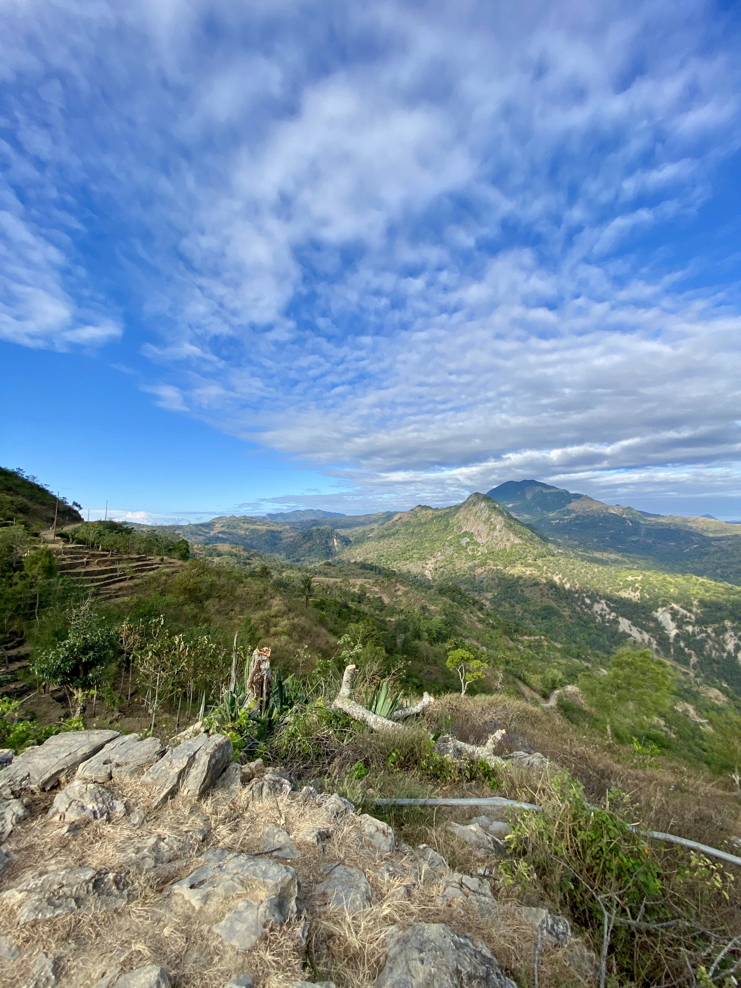 Green hills and mountains seen from a hilltop