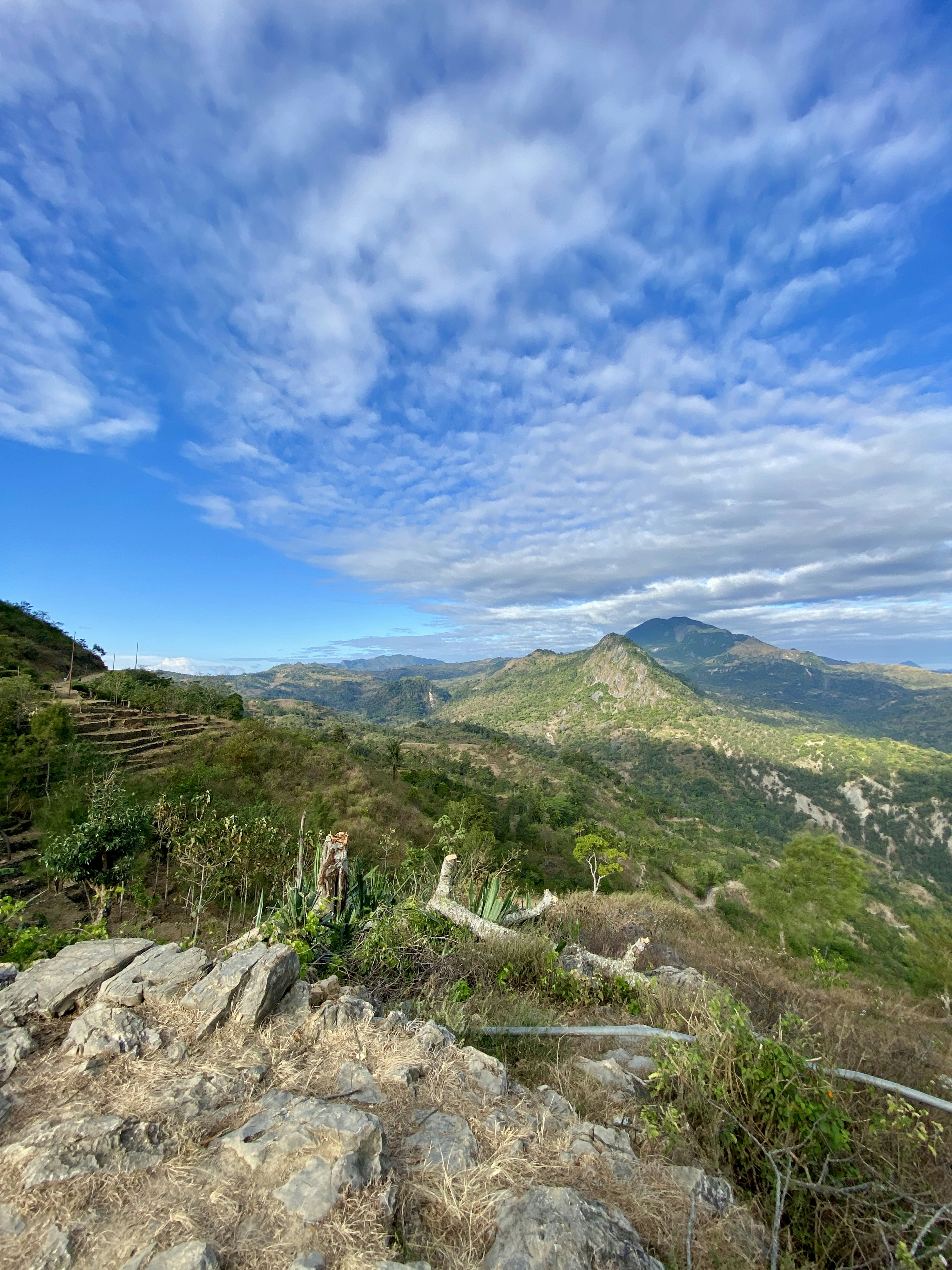 a view of the mountains from a hill top