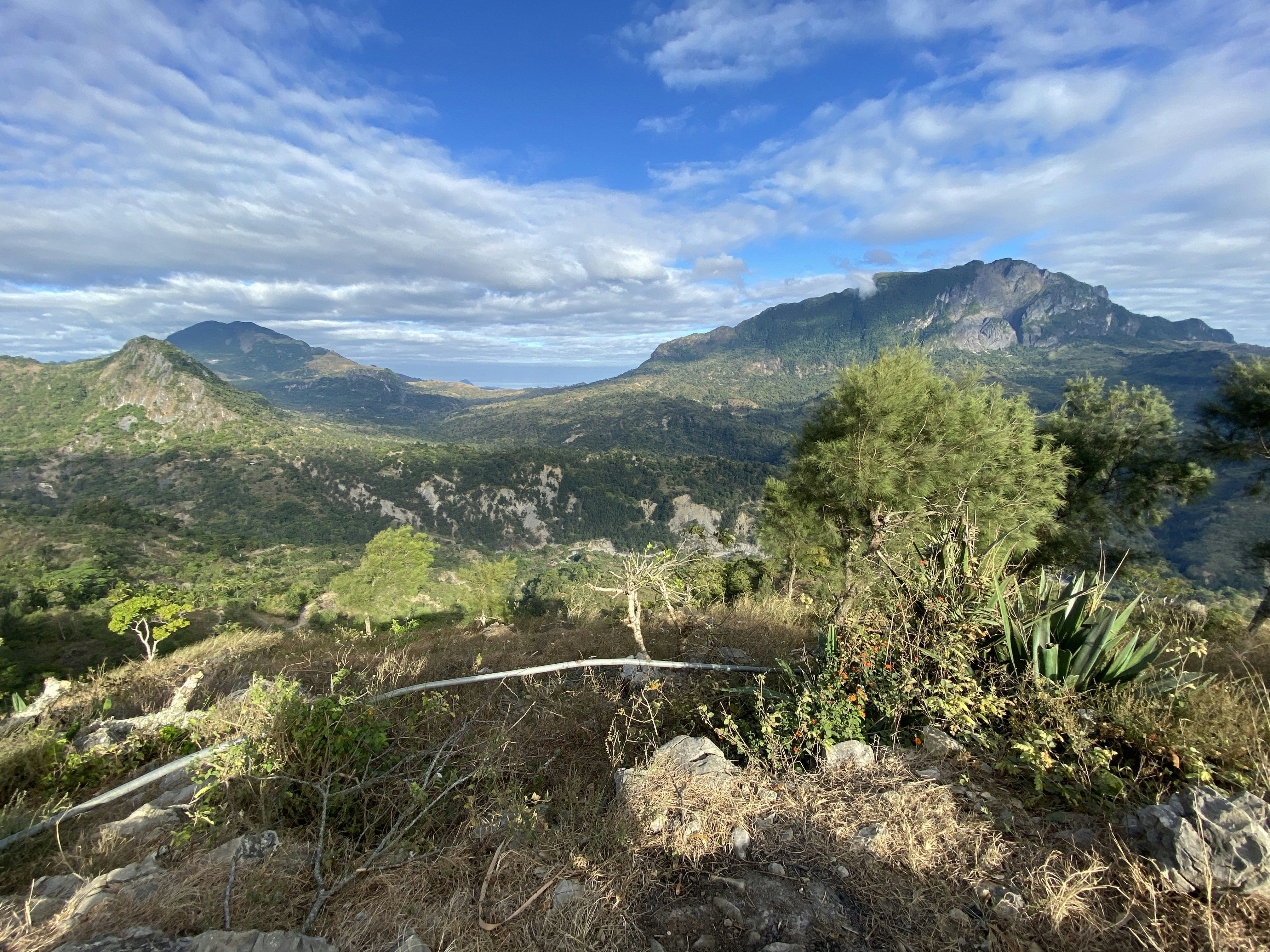 a view of a mountain range from a hill