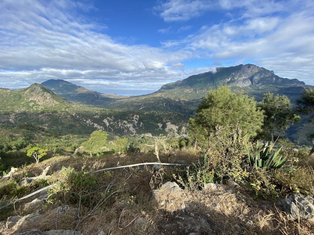 a view of a mountain range from a hill