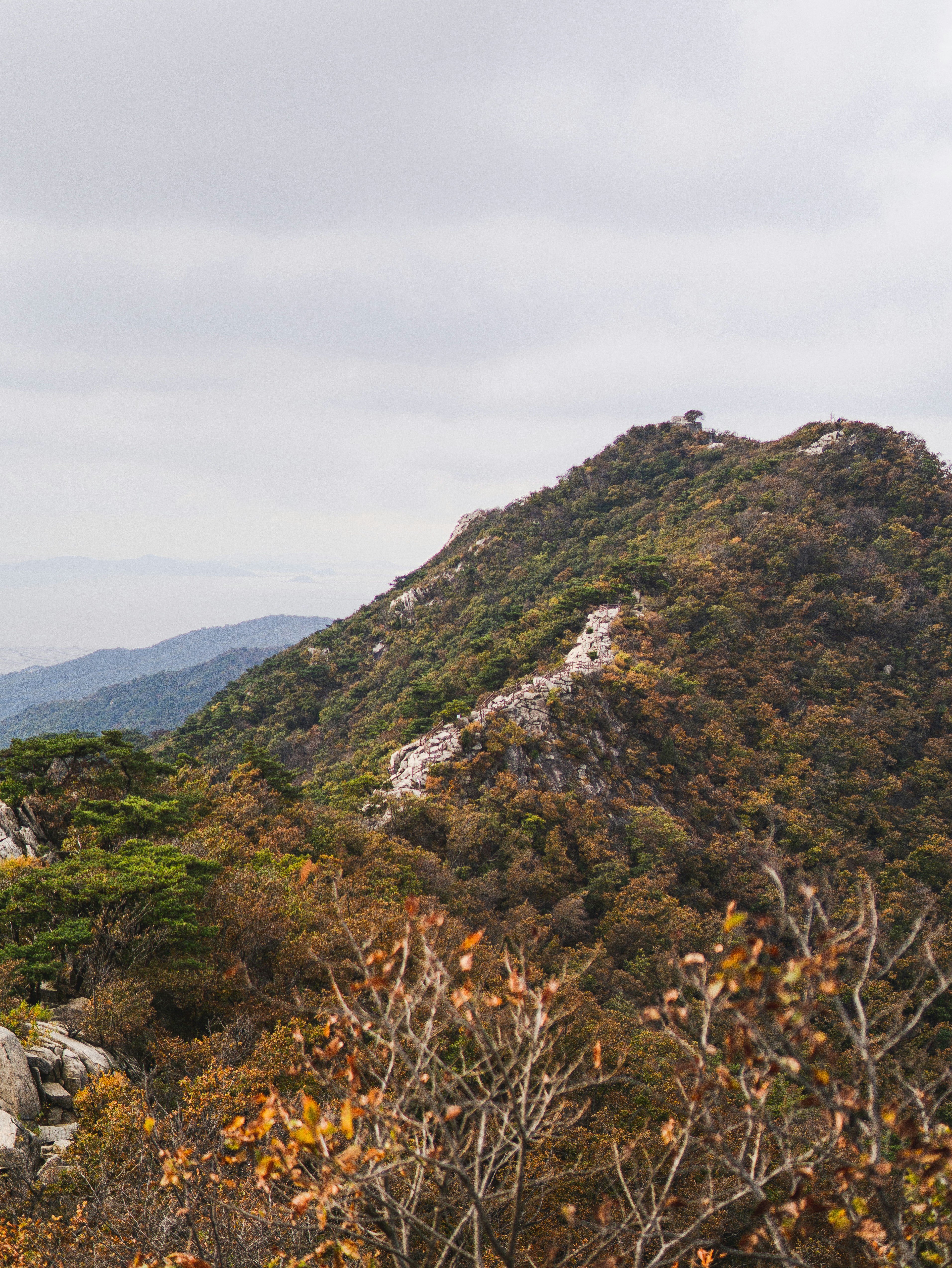 Photo by jinhan_photo