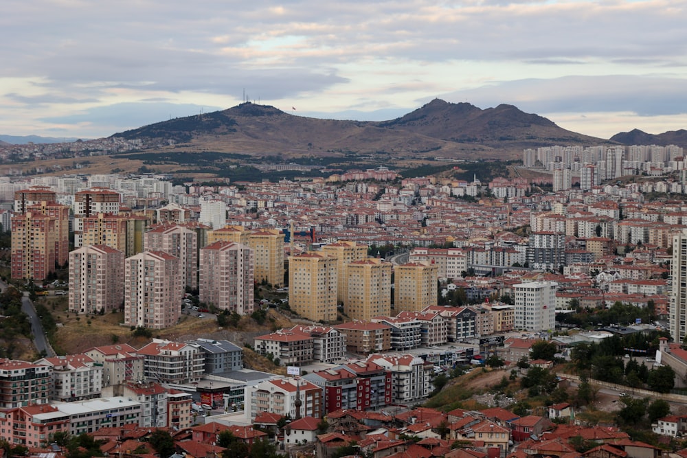 a view of a city with mountains in the background