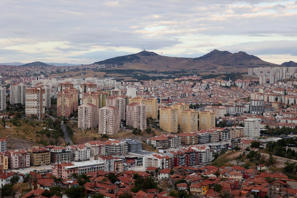 a view of a city with mountains in the background