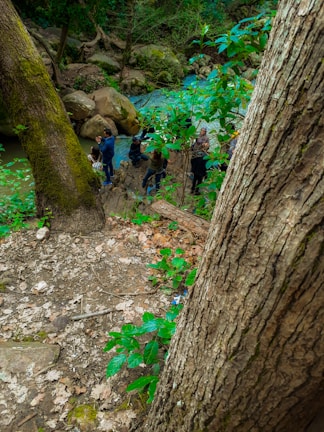 Team members reviewing survey data on a tablet near a flowing stream.