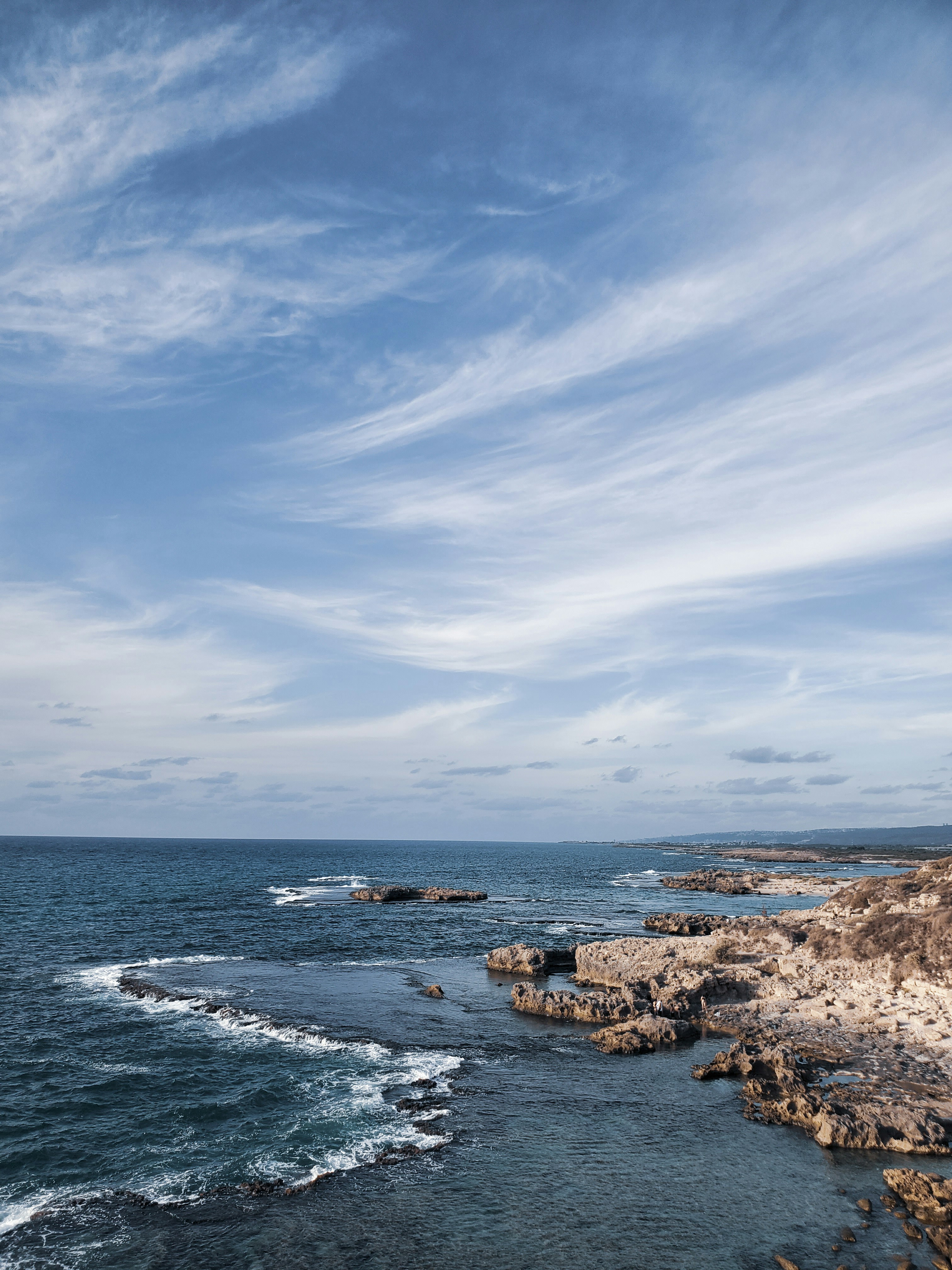 Photo by euphoria_meow