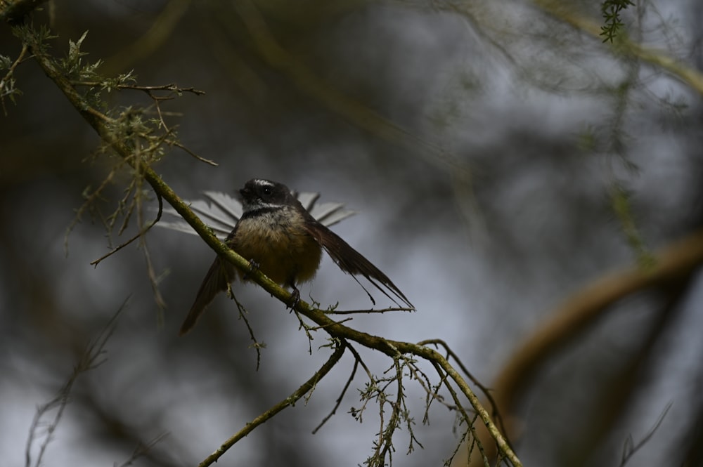 a small bird perched on a tree branch