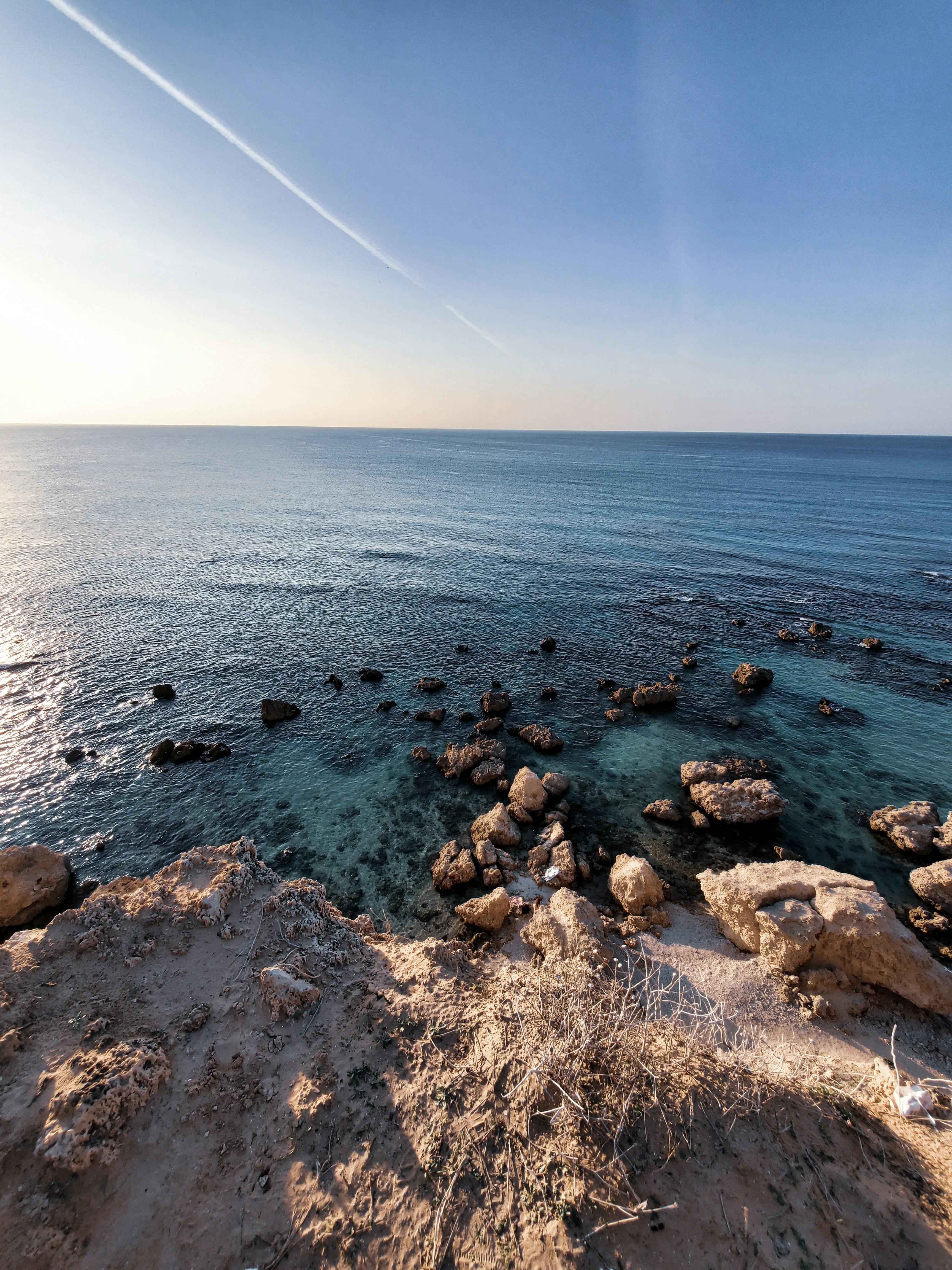 Photo by euphoria_meow