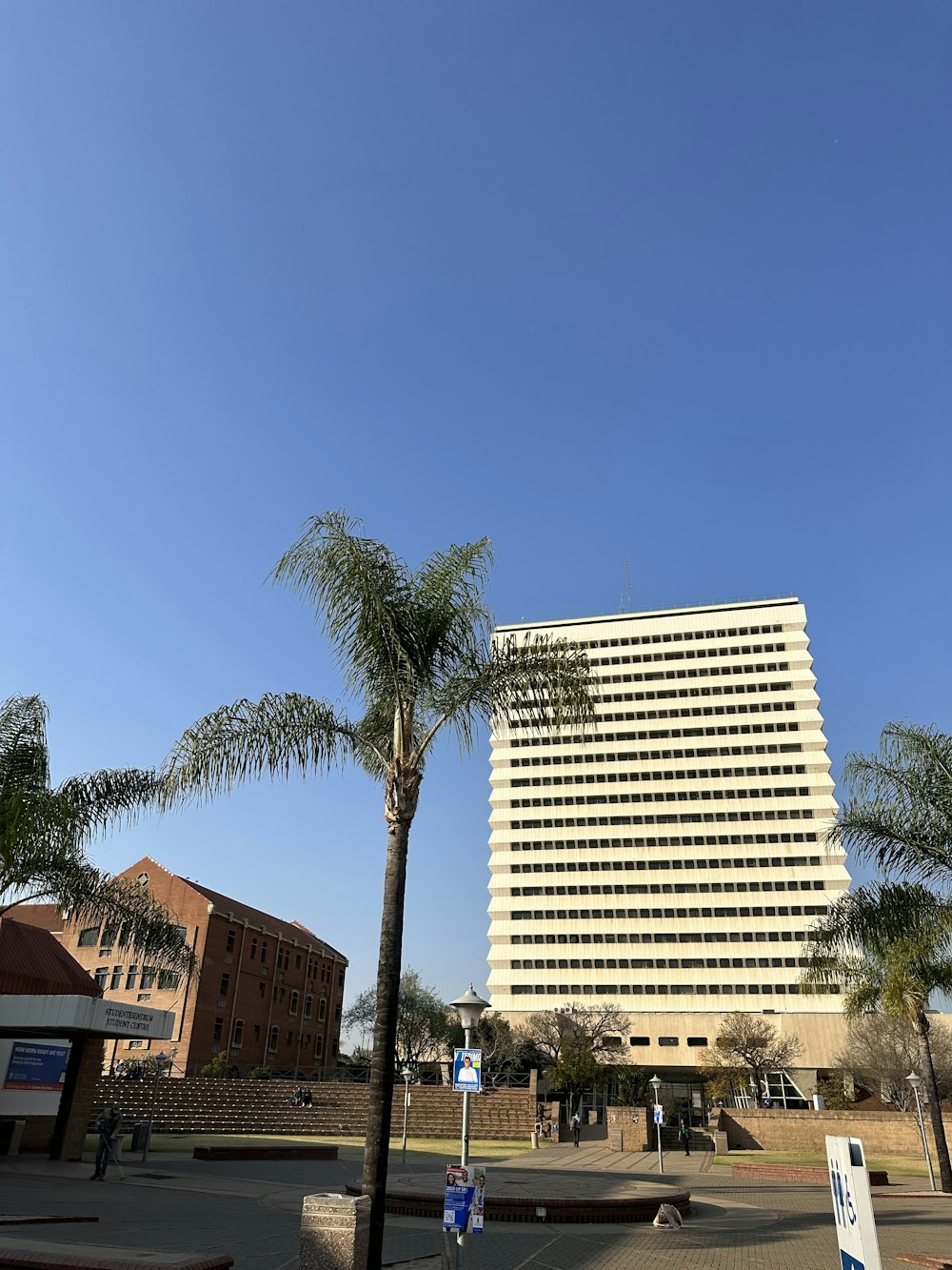 un edificio alto con una palmera frente a él