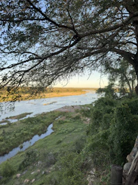 View from the cozy riverside room window capturing the serene river and greenery.
