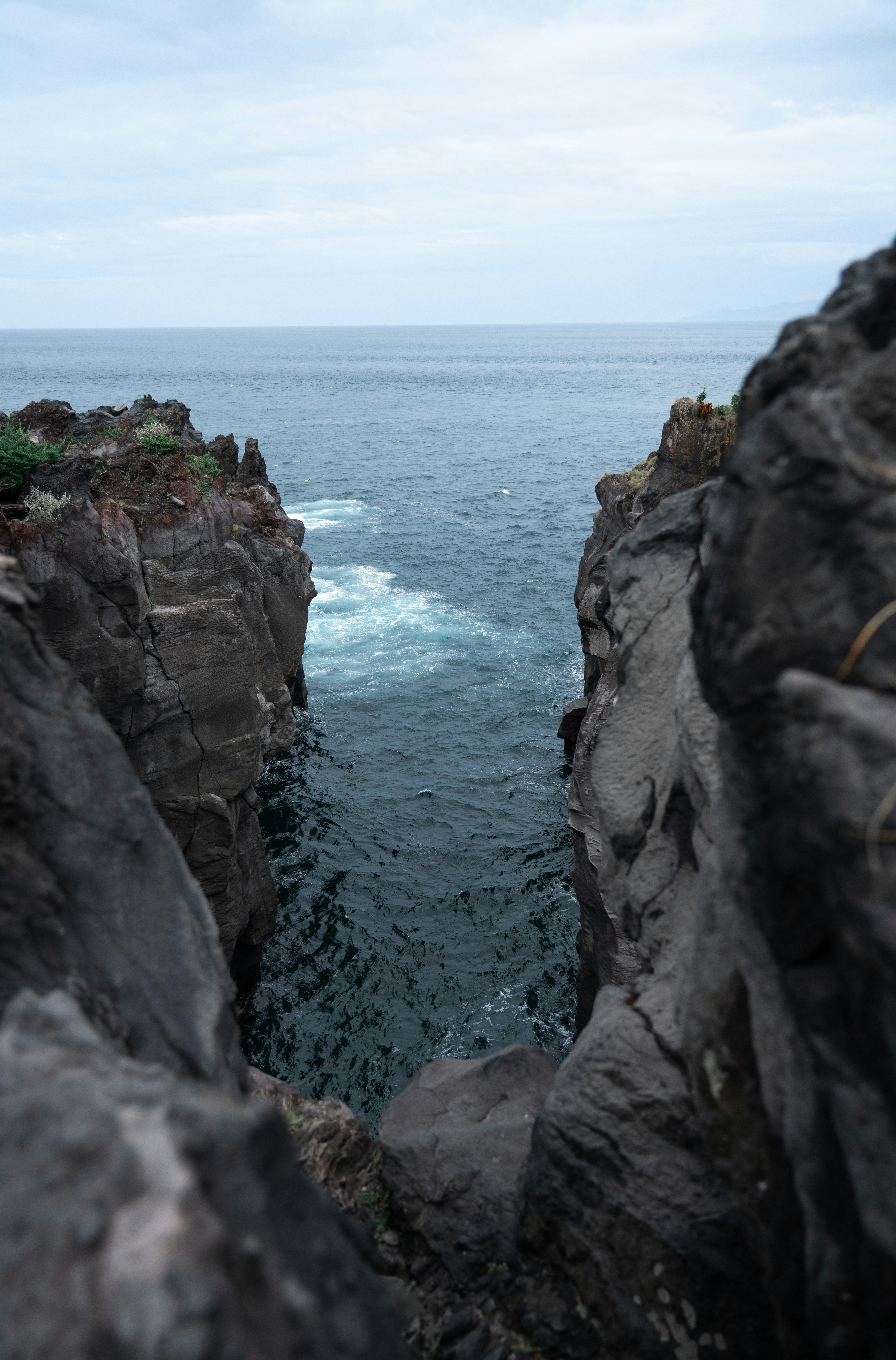 Photo by juniperphoton