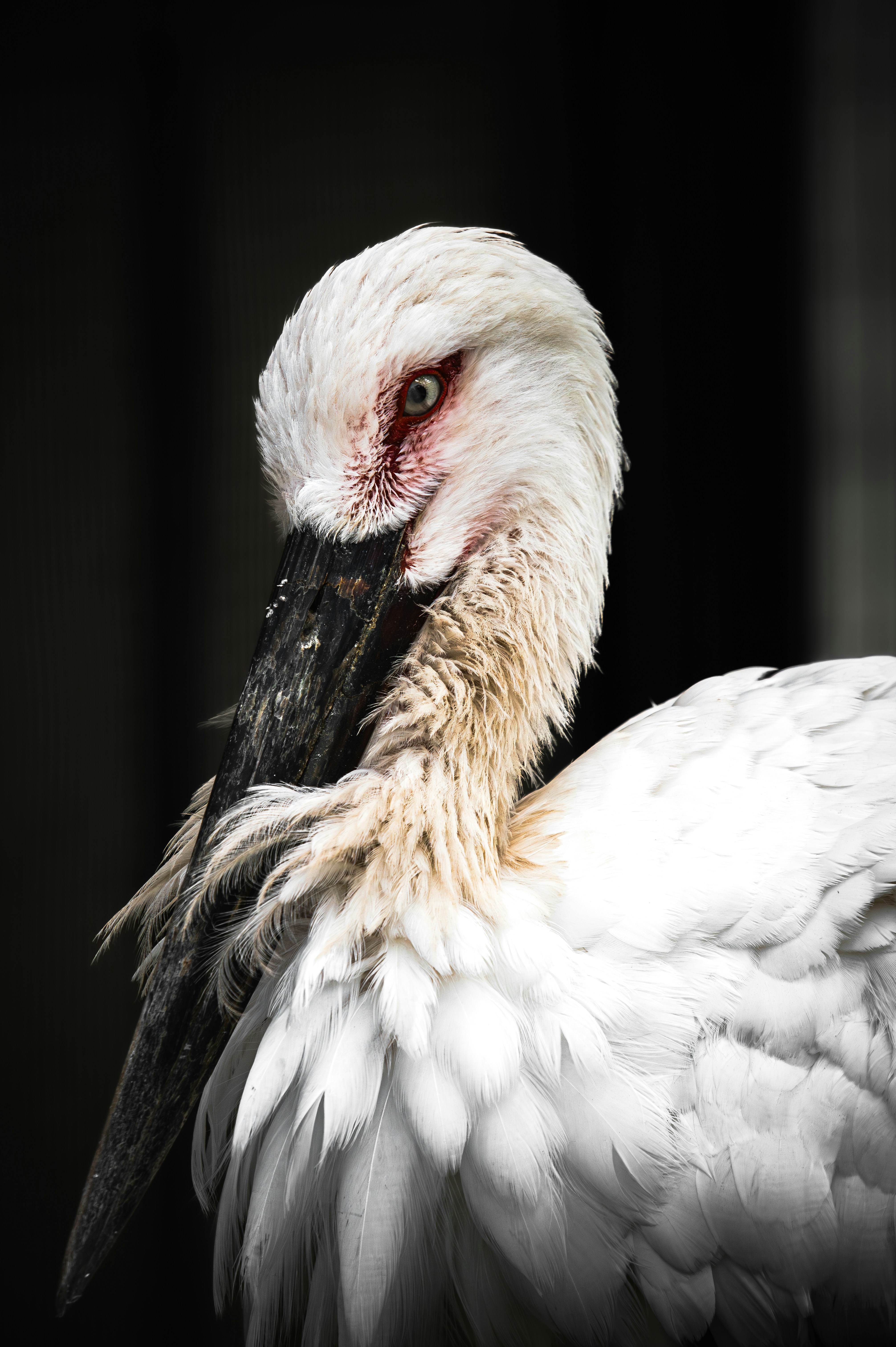 Photo by ryunosuke_kikuno