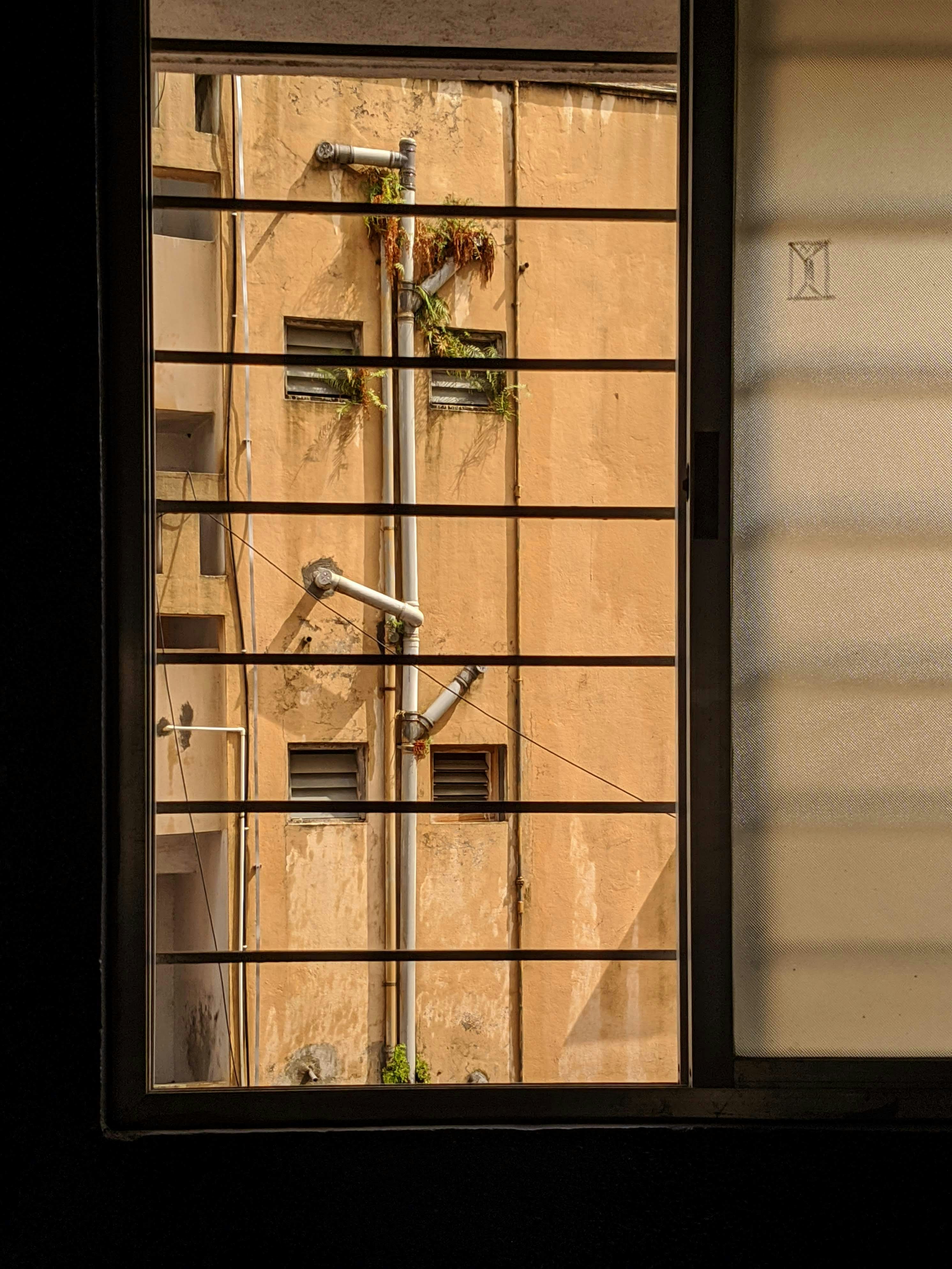 Photo by pandit_unsplash