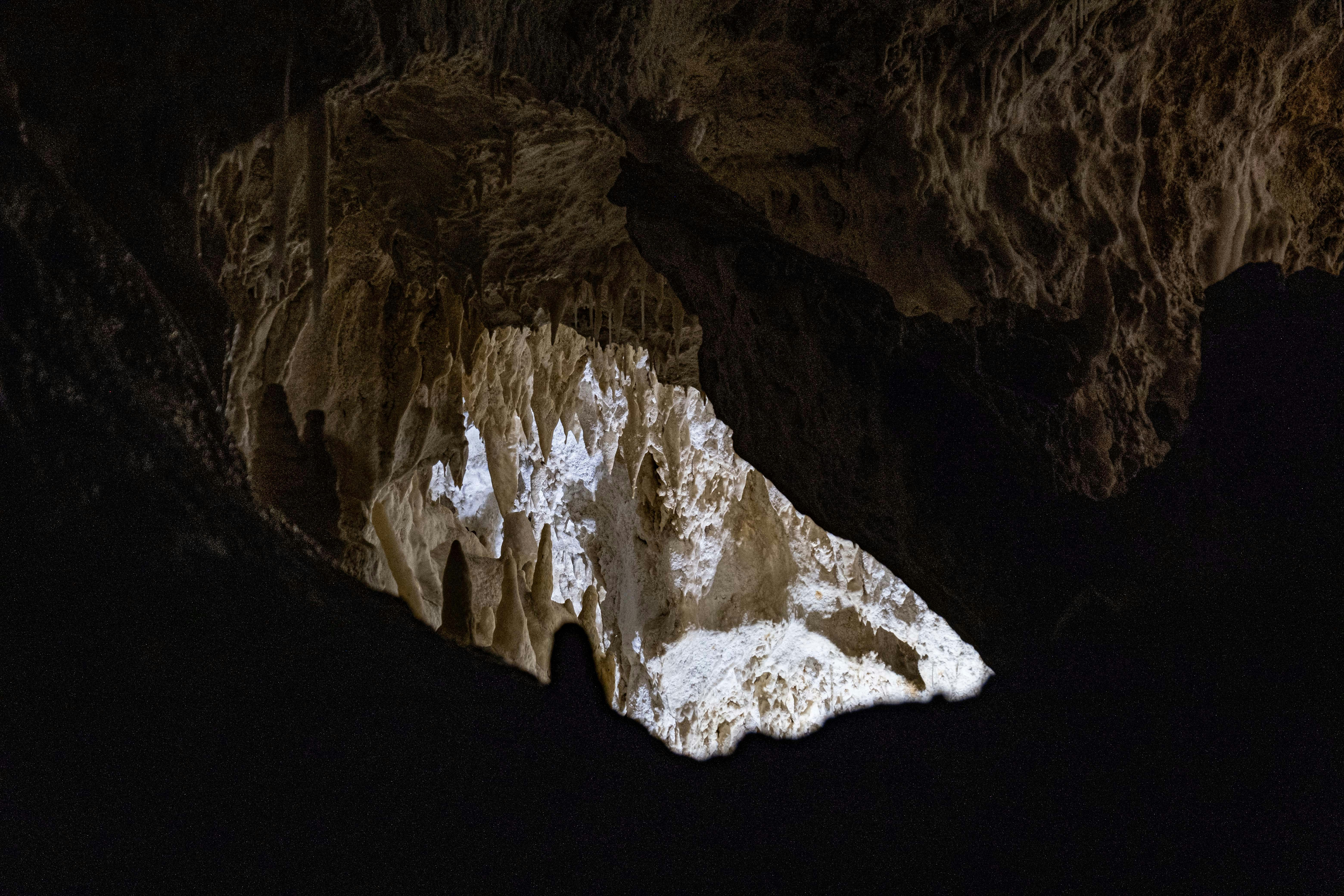 Gorham's Cave, Gibraltar - None