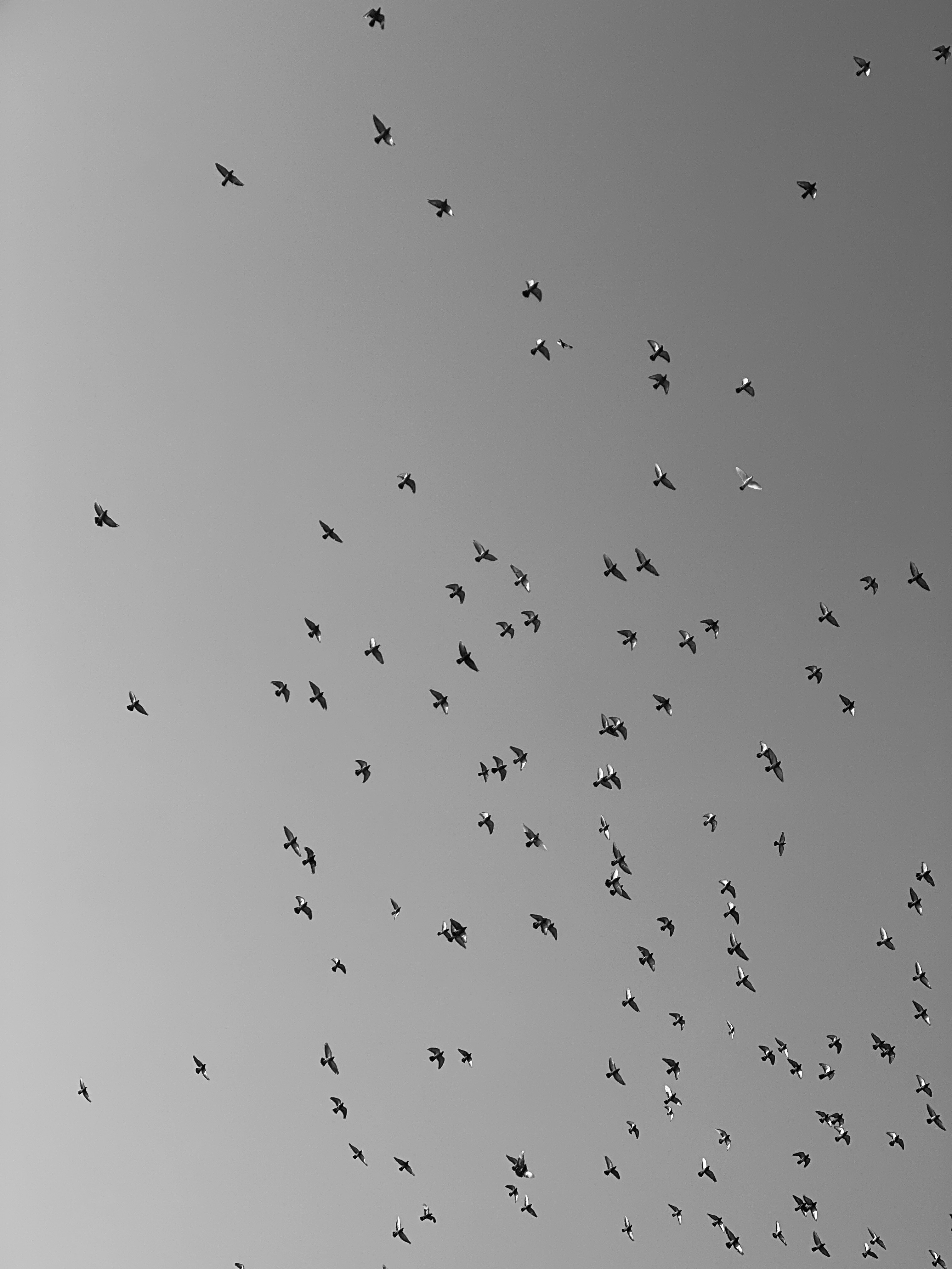 Photo by indigo_and_beige