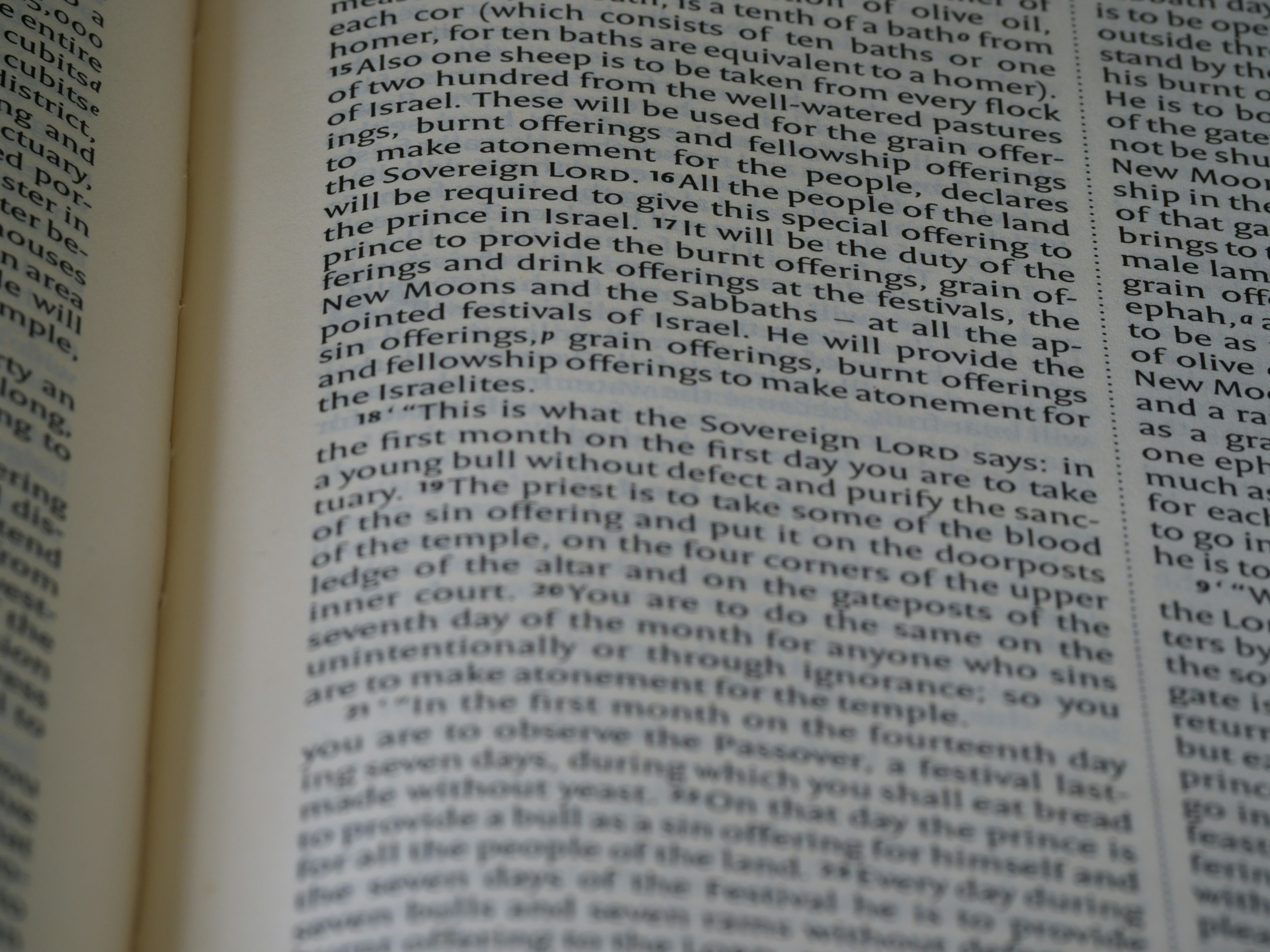 Photo by brett_jordan