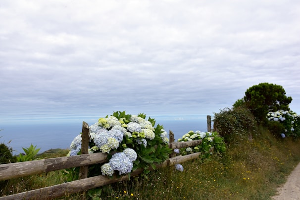 Wide angle view of a completed fencing project with white and blue tones blending into the coastal surroundings.