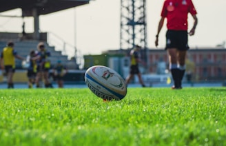 a rugby ball sitting on top of a lush green field