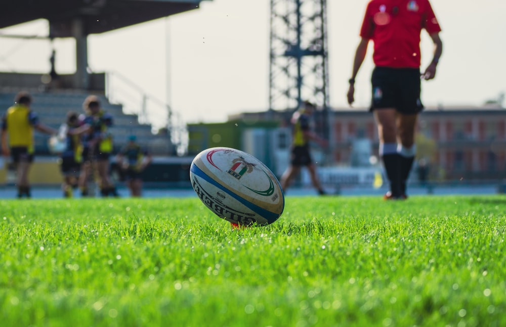 una pelota de rugby sentada en la parte superior de un exuberante campo verde