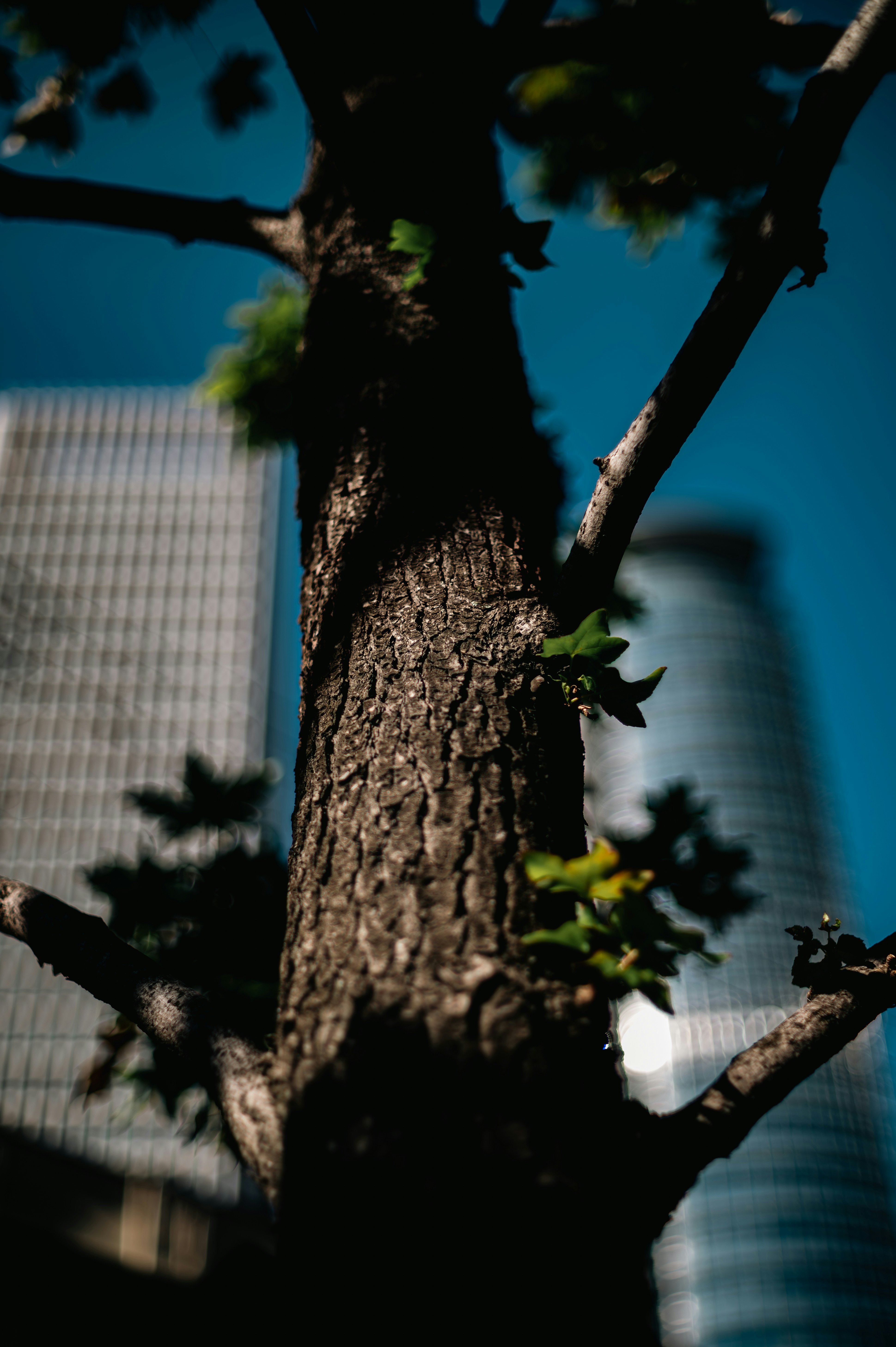 川崎 フロンターレ ユニフォーム 