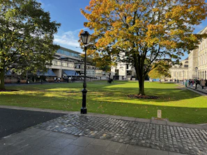 A serene campus courtyard with students walking and discussing under autumn trees.
