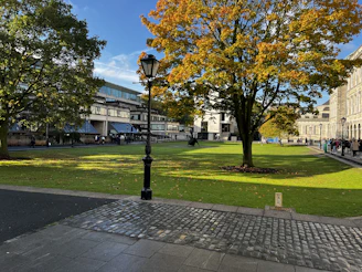 A serene campus courtyard with students walking and discussing under autumn trees.