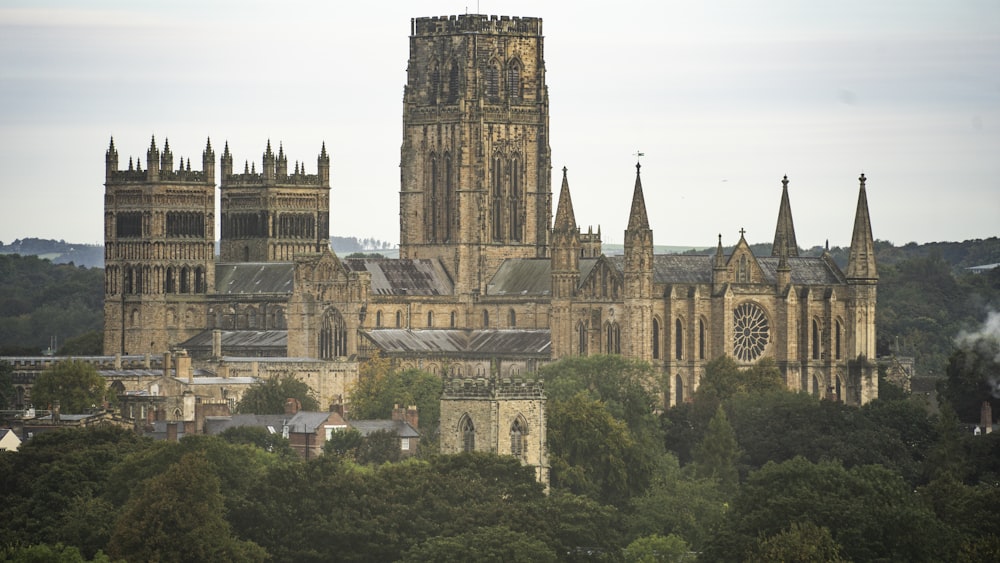 a large cathedral towering over a lush green forest