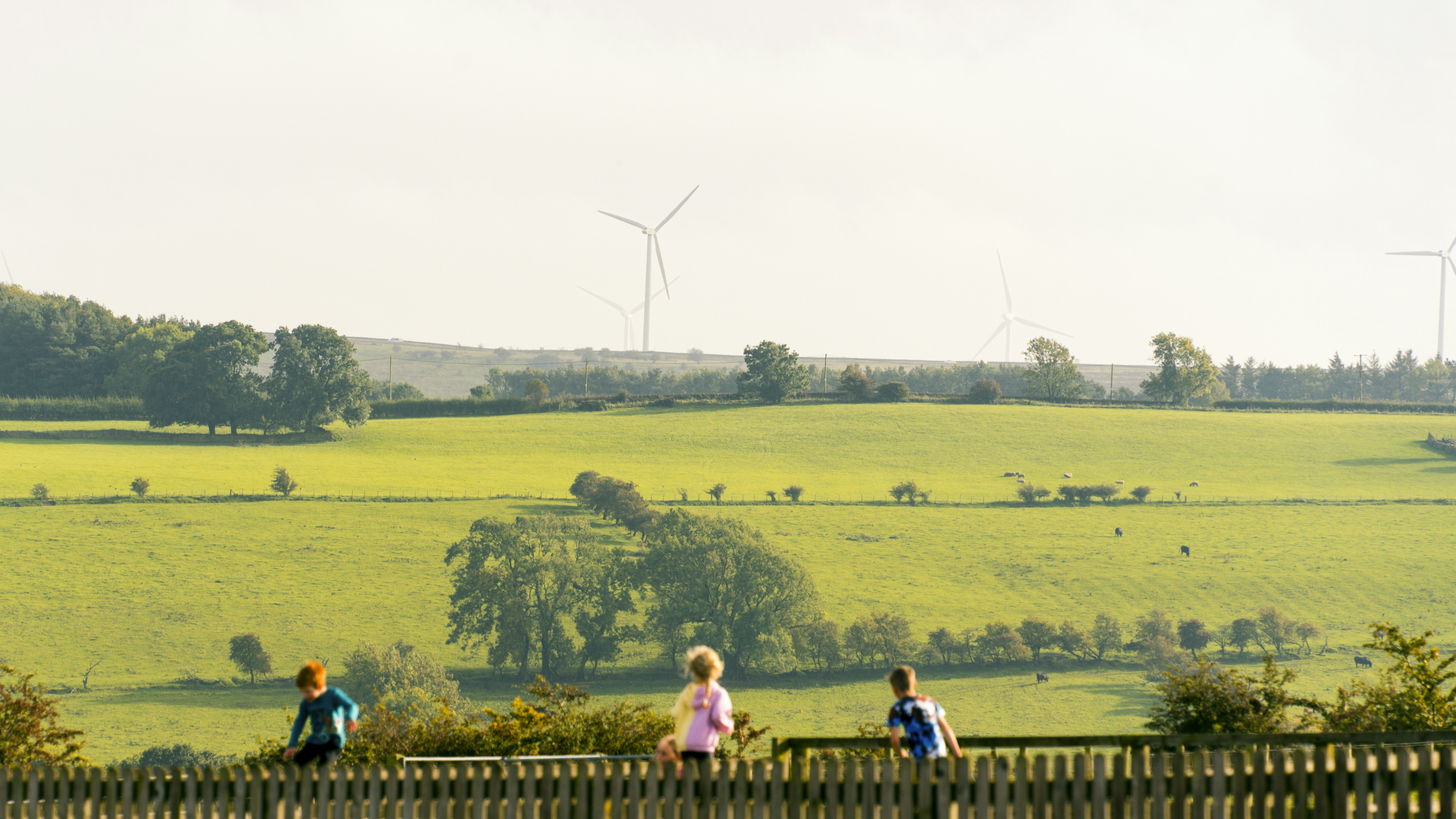 a group of people walking across a lush green field