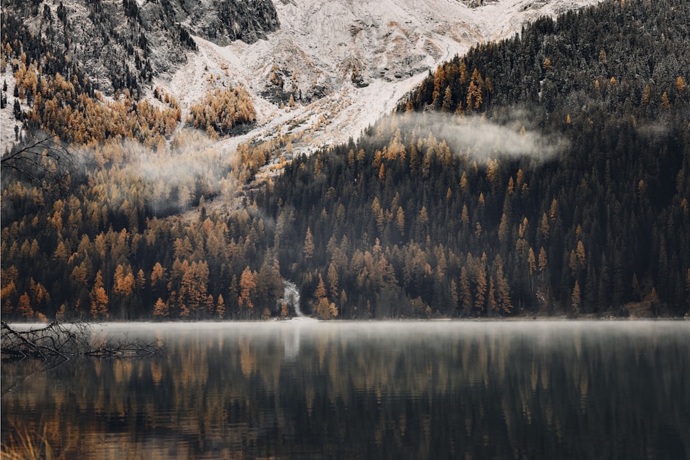 a lake surrounded by a forest covered in snow