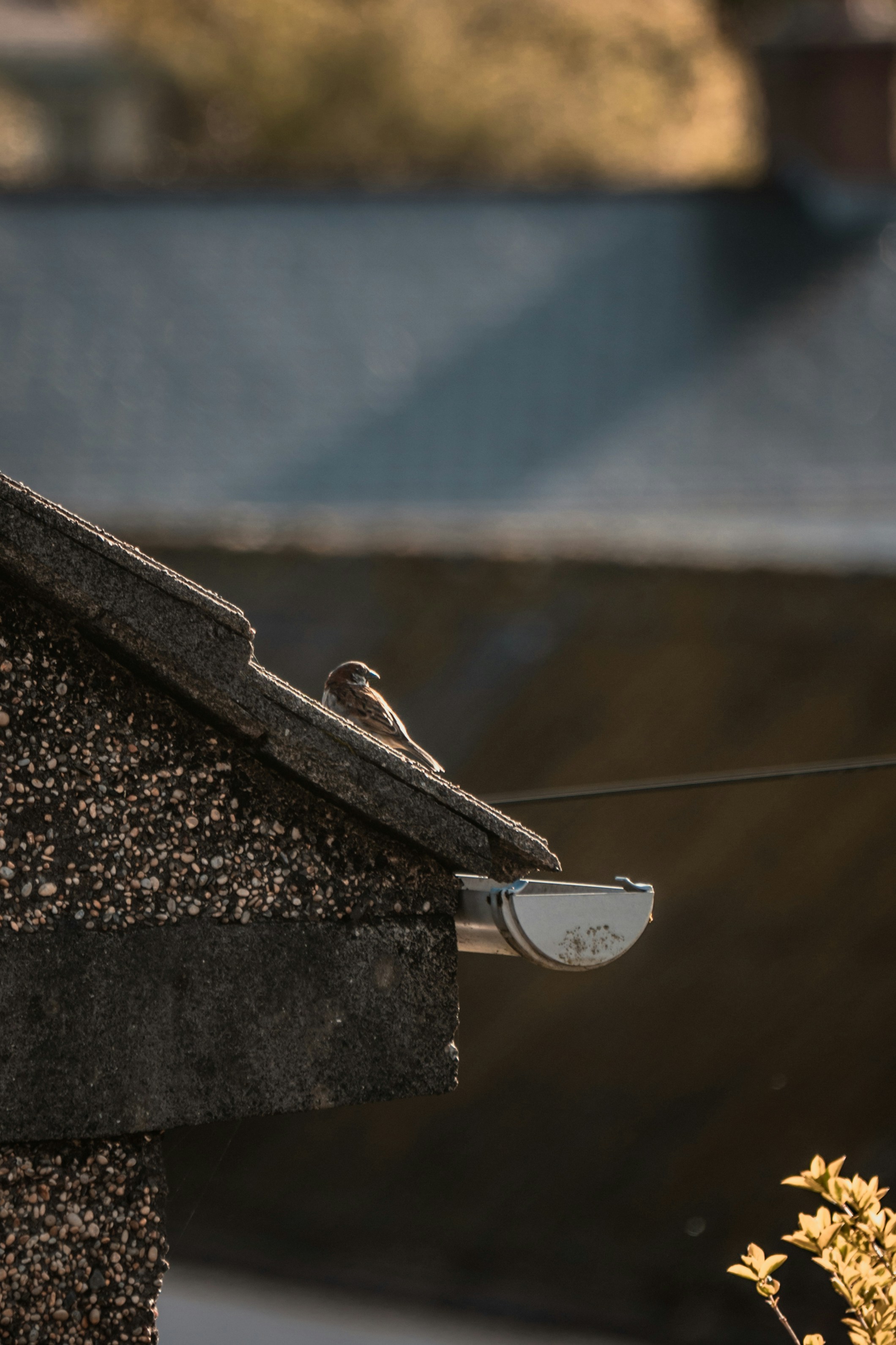 Photo by winstontjia