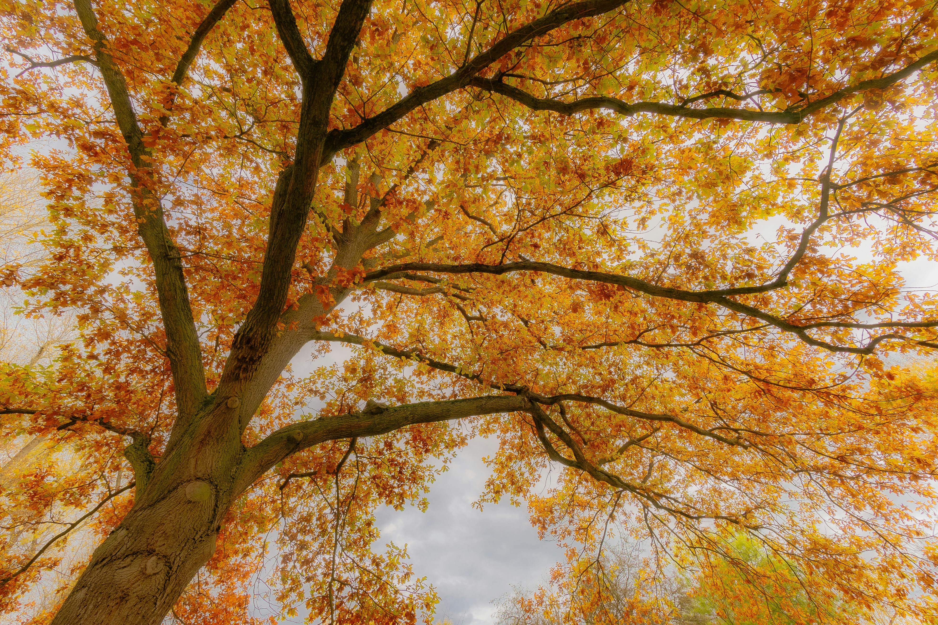 Photo by studio_kannwas