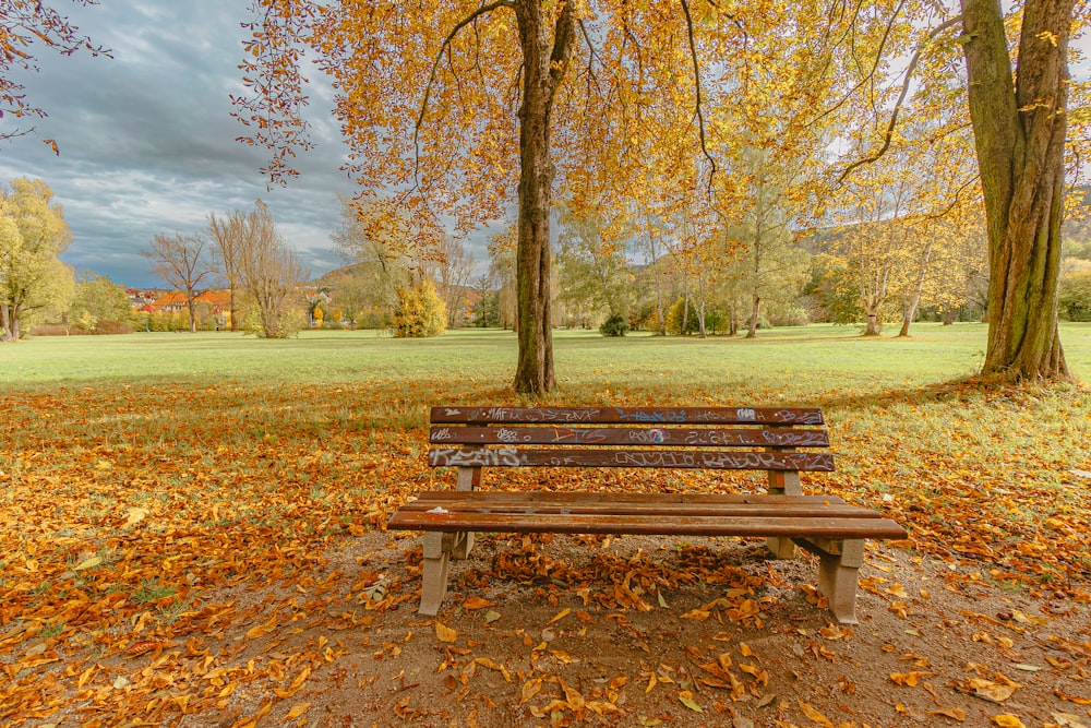 una panchina di legno seduta in mezzo a un parco