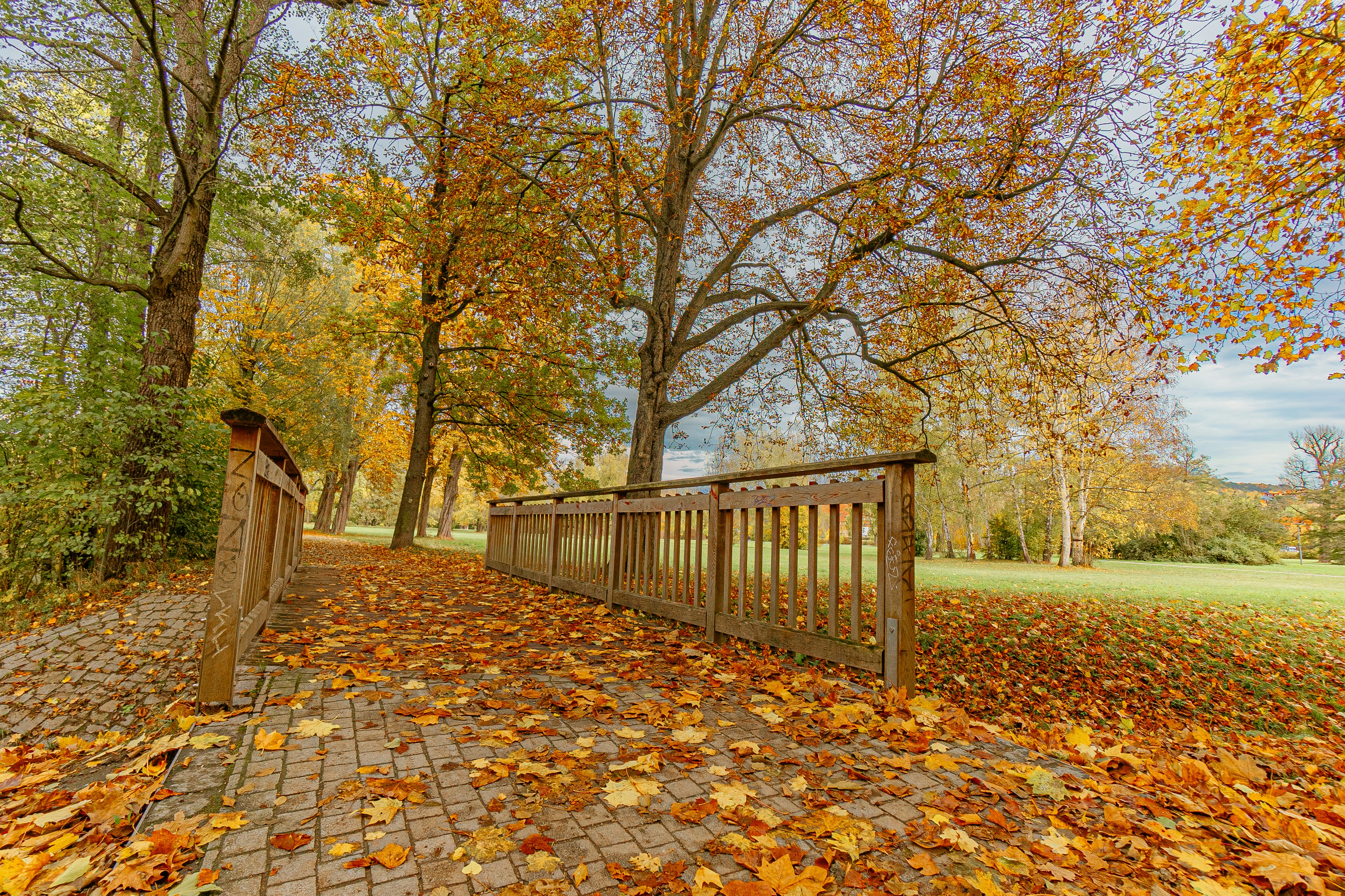 Photo by studio_kannwas