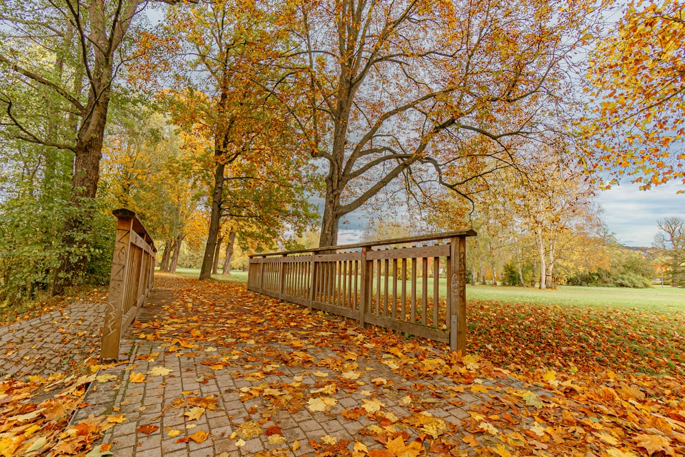 a wooden bridge surrounded by lots of leaves