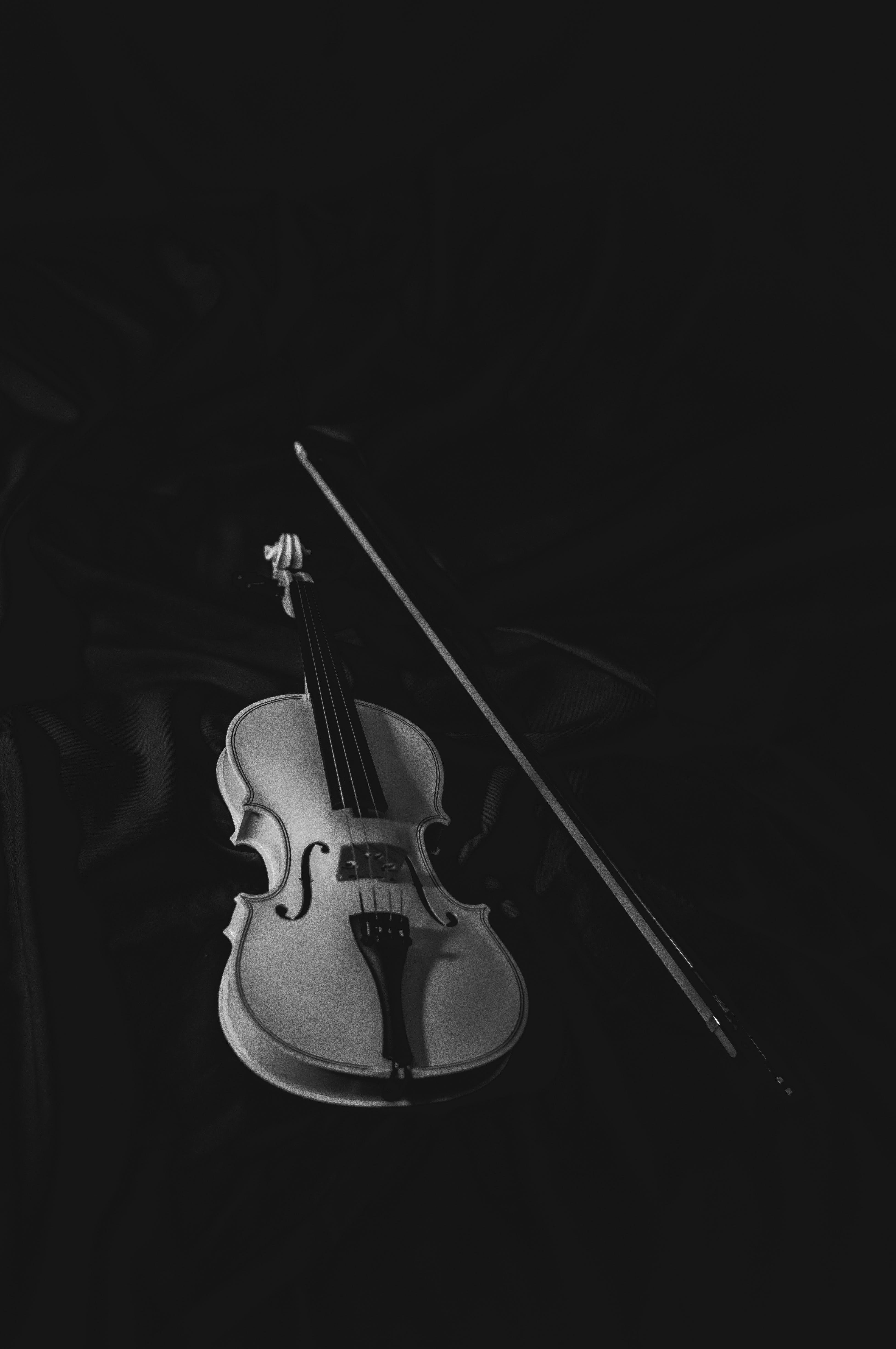 a black and white photo of a violin