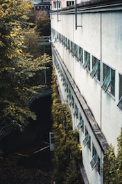 A row of open windows lines a long, white wall of a building, with lush green foliage growing up the side and surrounding the area. A staircase and more greenery are visible in the background.